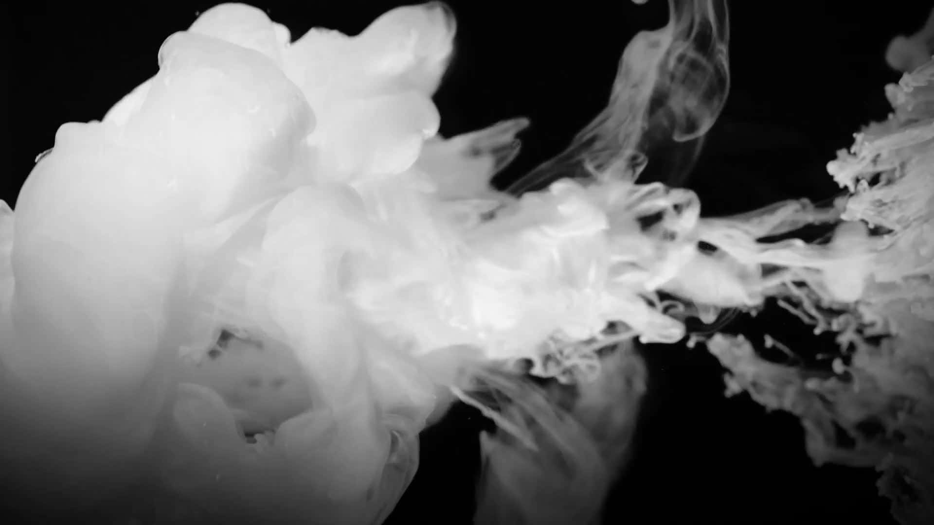 white smoke, ink swirls, stark black background, Full HD Desktop Wallpaper