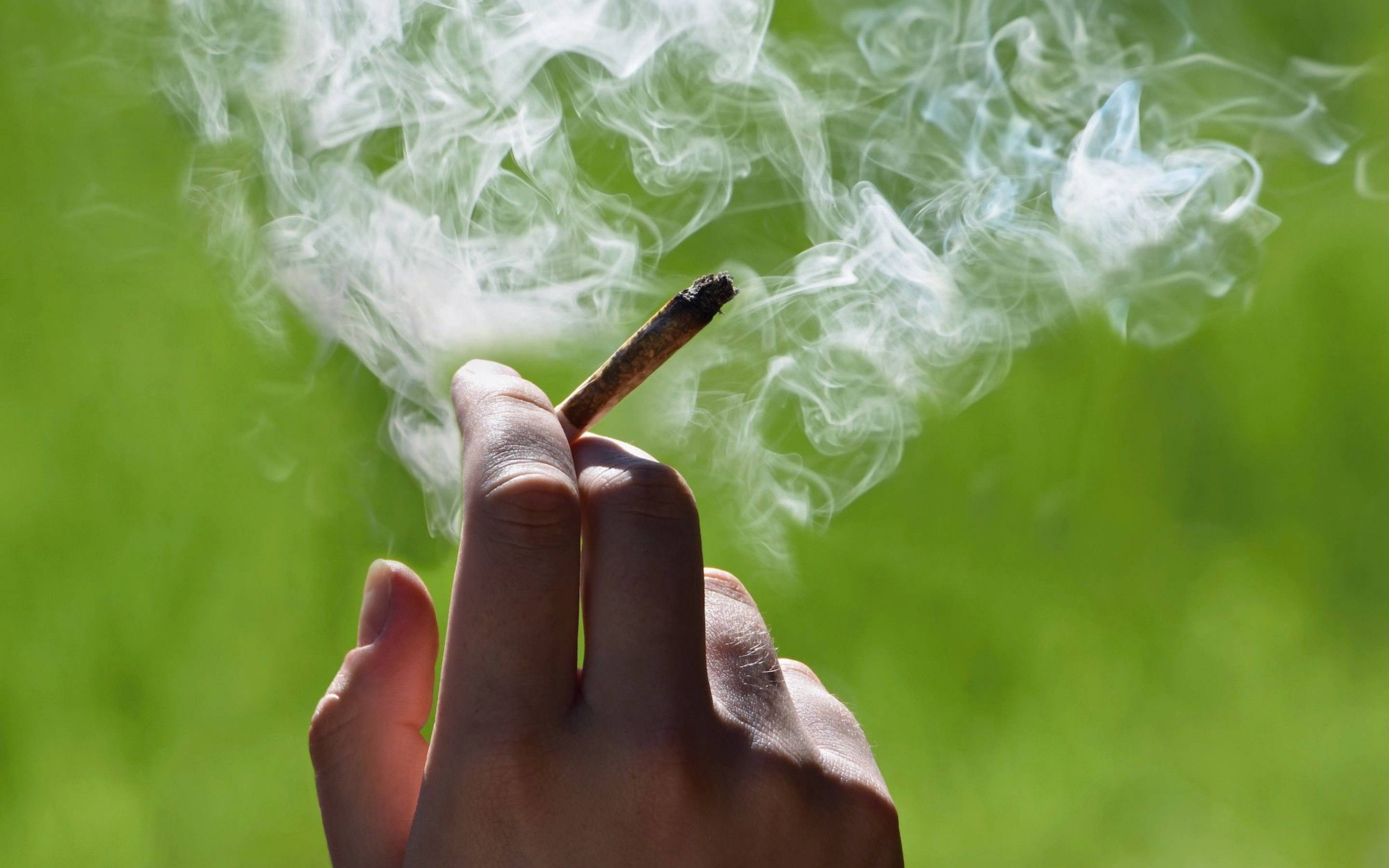 cannabis joint, lit, thick white smoke, 2K Desktop Wallpaper