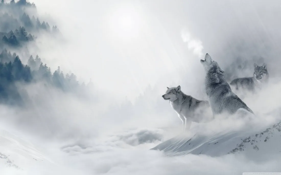 Smoky Mountains Wallpapers