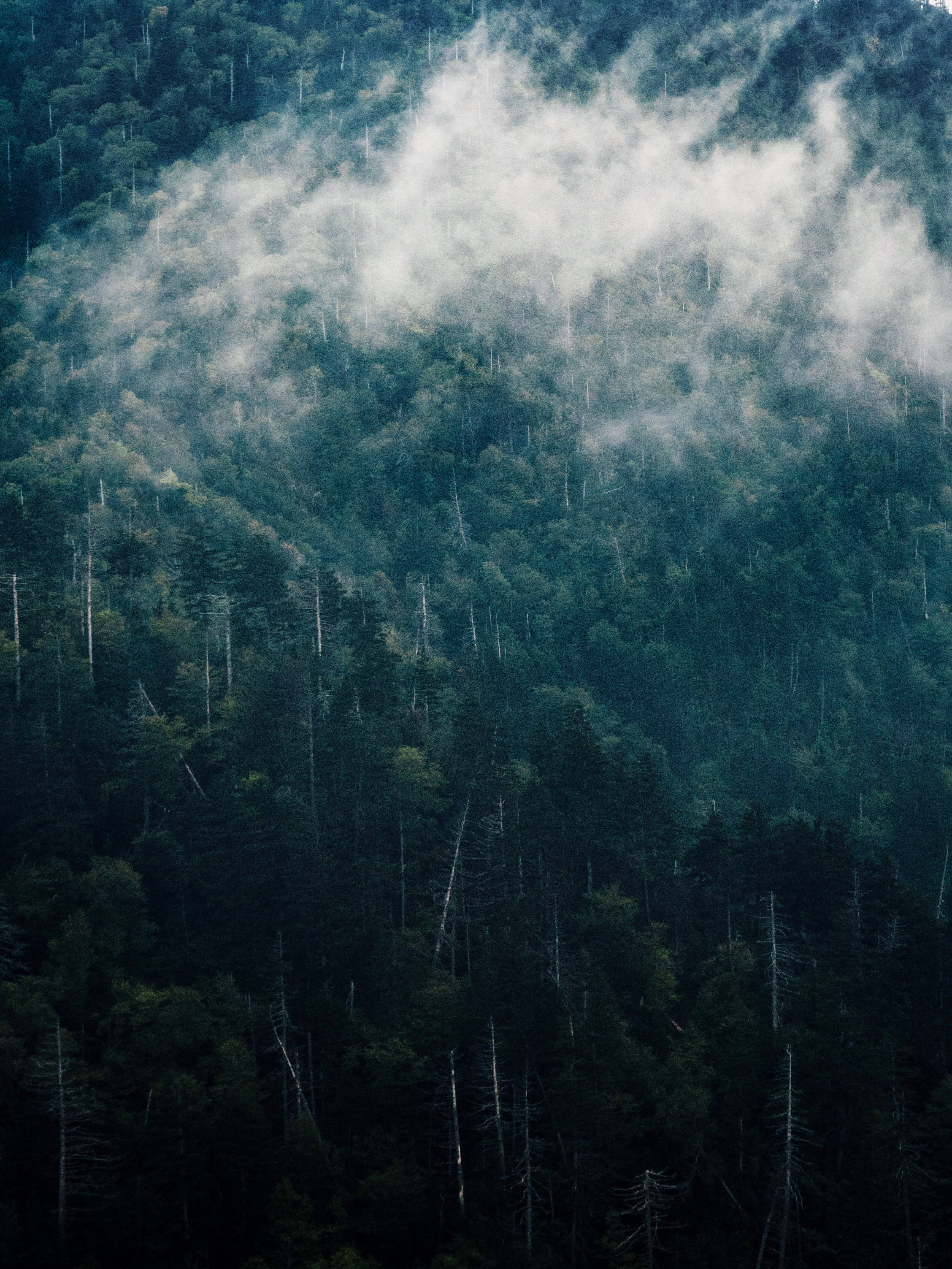 fog, smoky mountains, misty clouds, 4K Phone Wallpaper