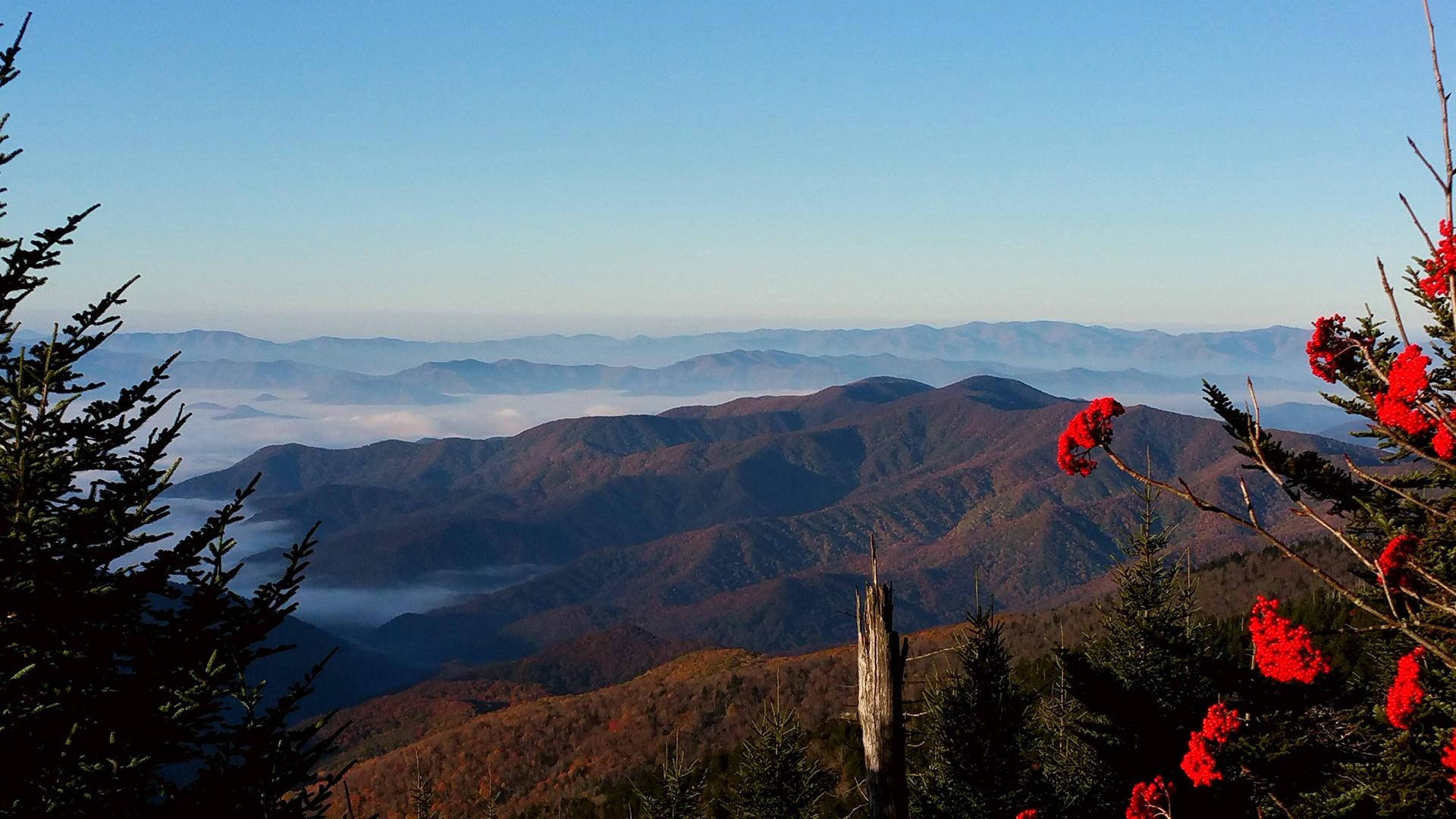 Smoky Mountains, morning light, mist, Full HD Desktop Wallpaper