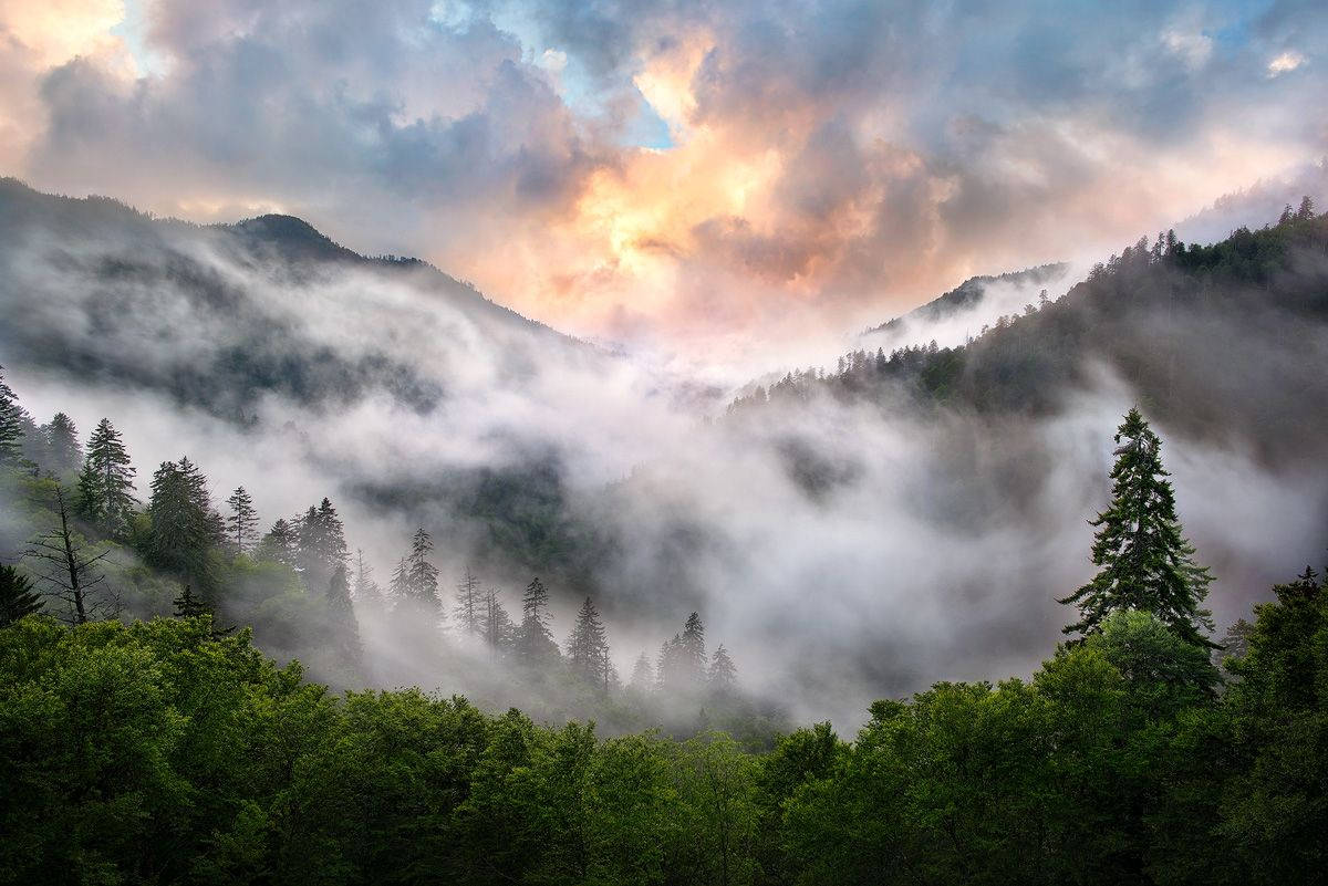 Smoky Mountains, foggy, golden sunrise, SD Desktop Wallpaper