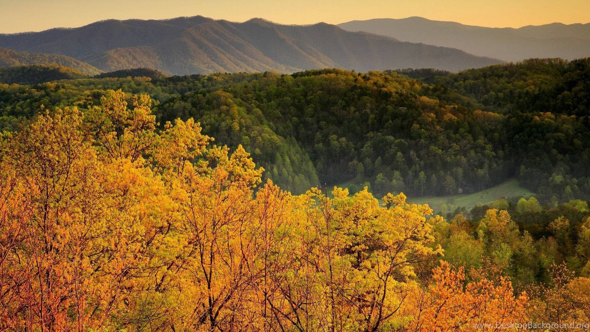 Smoky Mountains, golden autumn trees, sweeping valley, Full HD Desktop Wallpaper