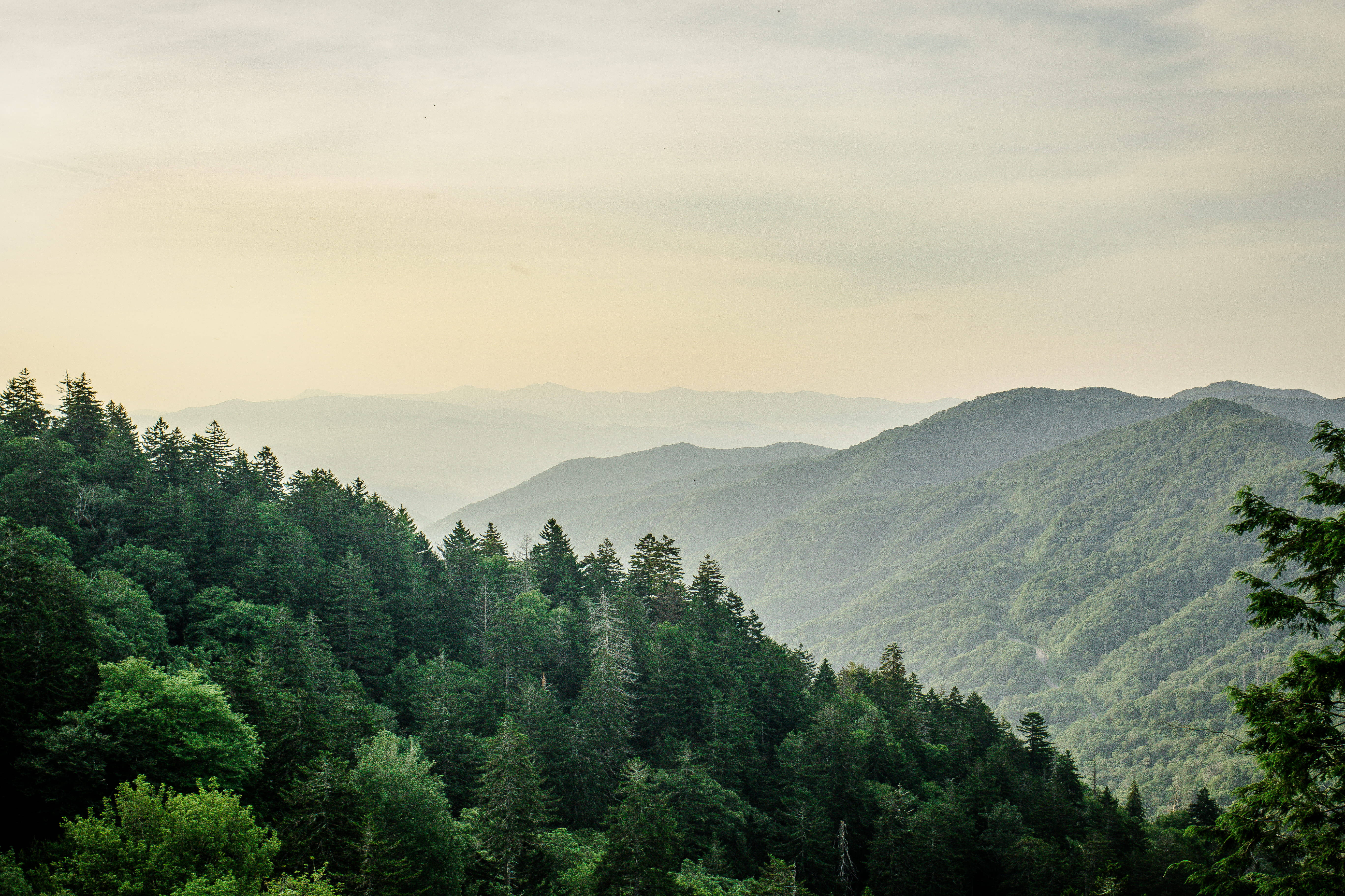 Soft Yellow Hazy Smoky Mountains, Smoky Mountains, soft golden sky, 5K Desktop Wallpaper