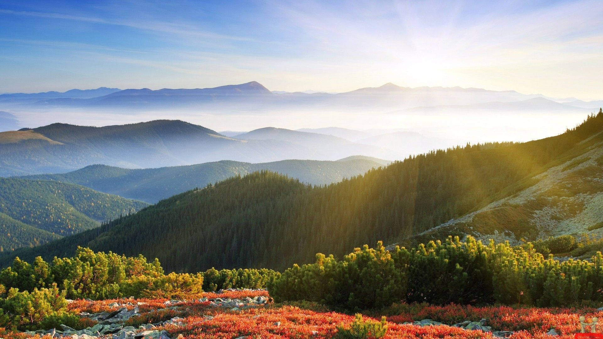 Smoky Mountains, soft sunlight, mist, Full HD Desktop Wallpaper