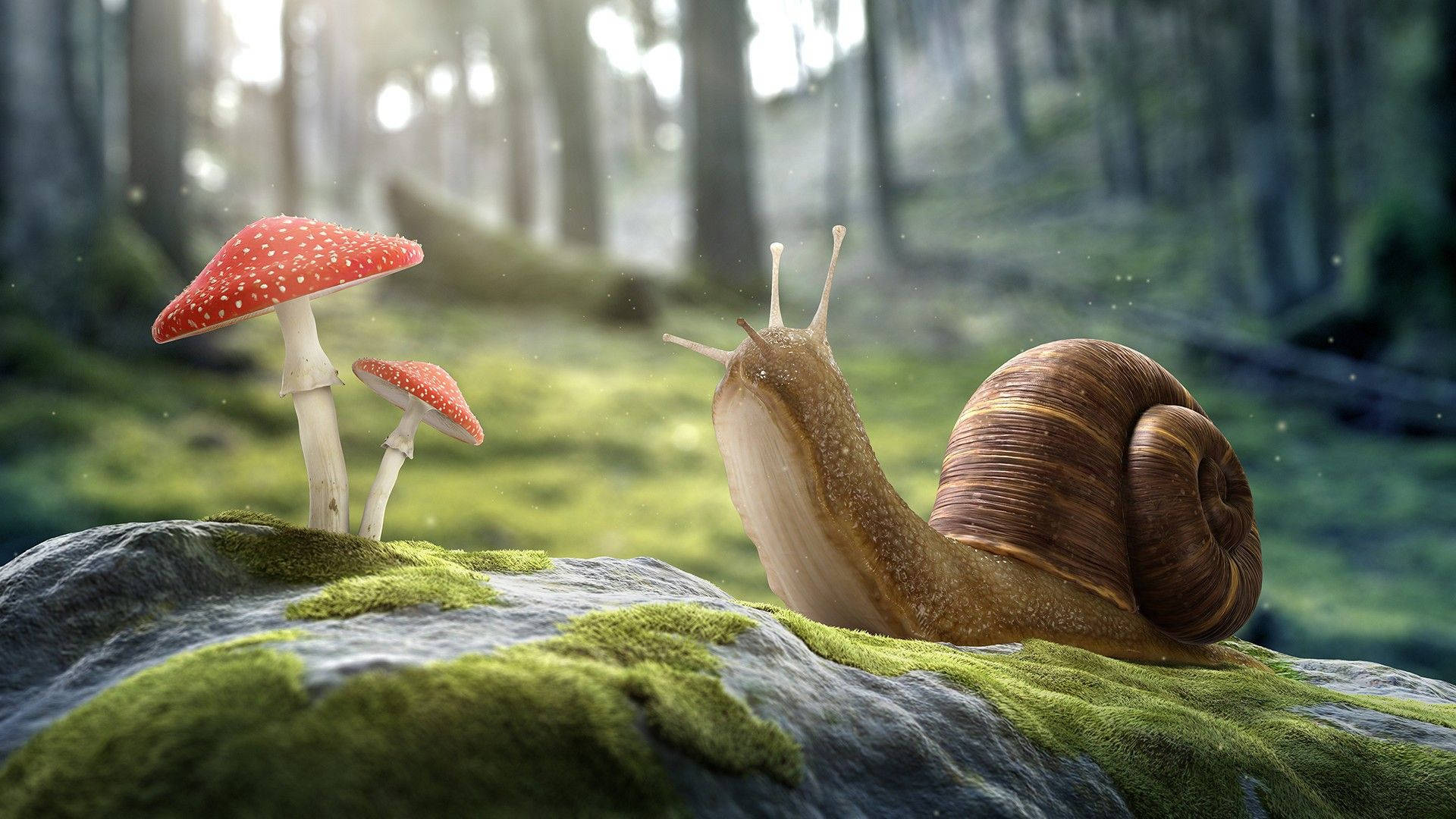 3D Snail Art, mossy rock, red-capped mushrooms, Full HD Desktop Wallpaper