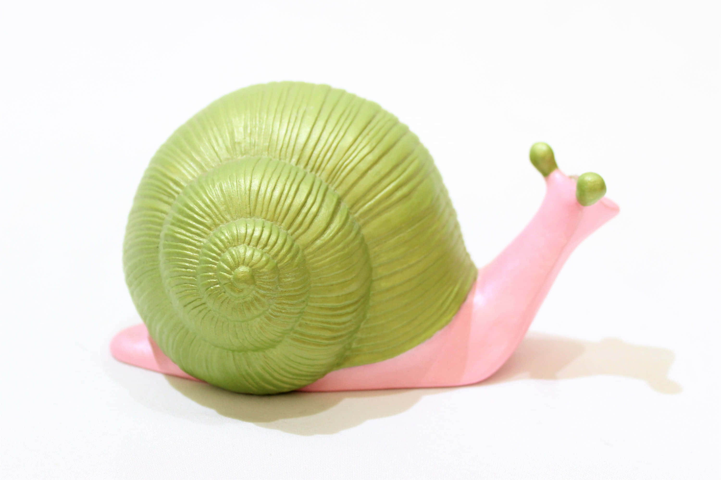 pink snail 3000, glossy green and pink plastic snail toy, detailed shell ridges, 2K Desktop Wallpaper