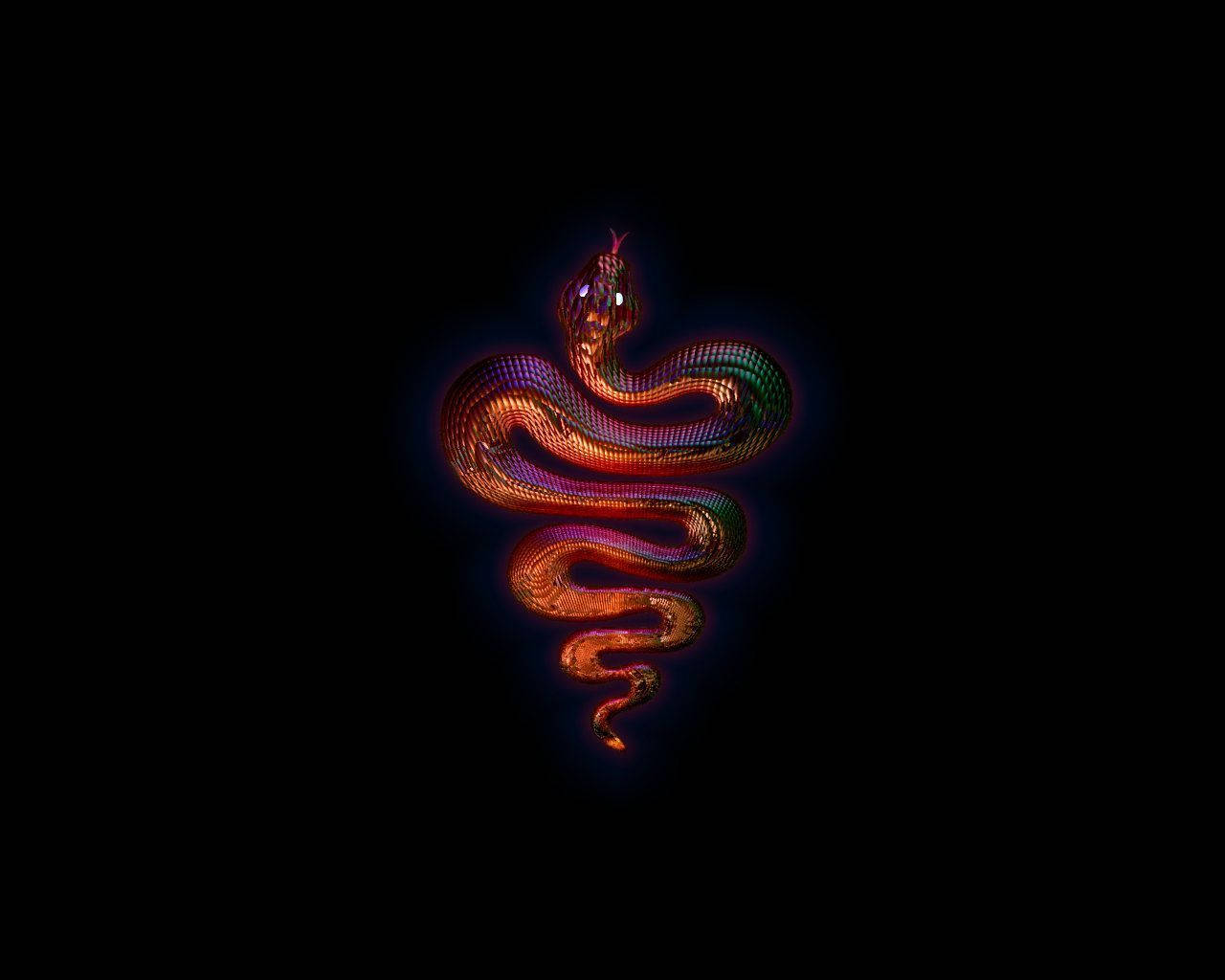 slithery orange purple snake, glowing neon snake, pitch black background, HD Desktop Wallpaper
