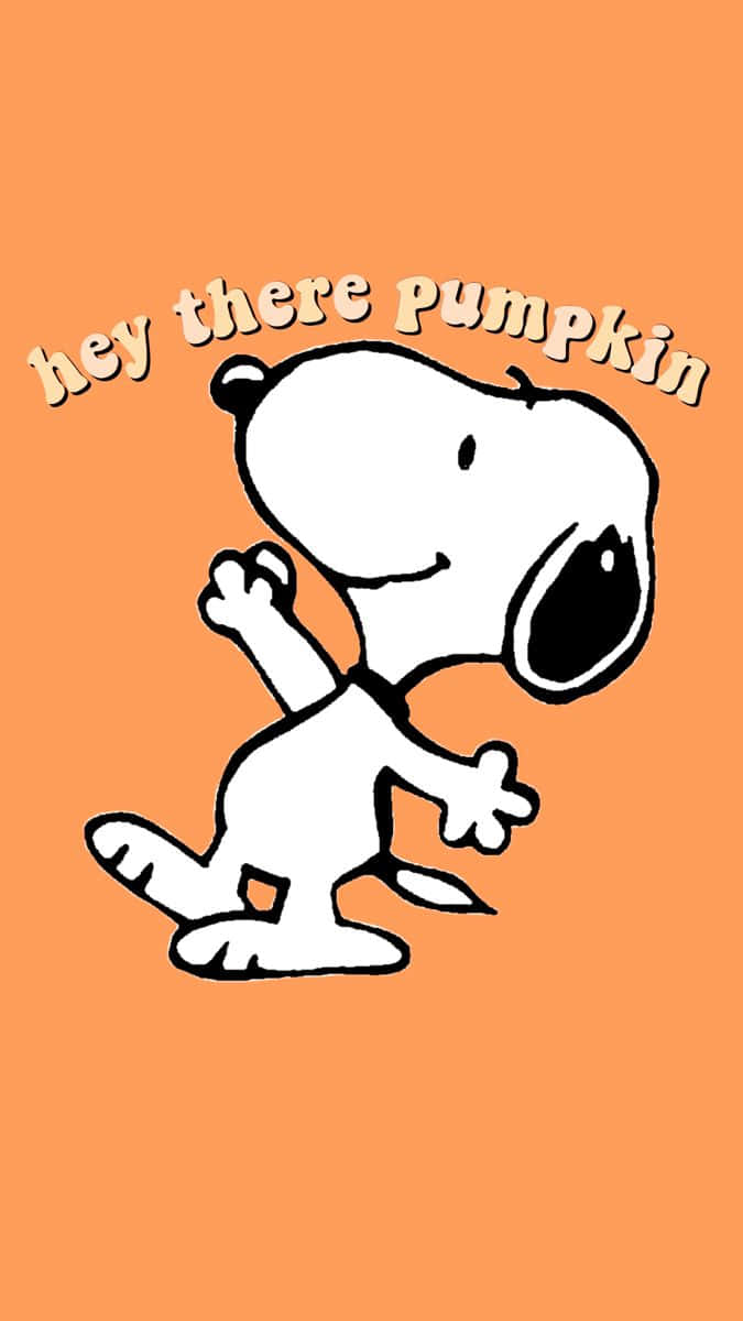 Snoopy, Fall Season, orange background, SD Phone Wallpaper
