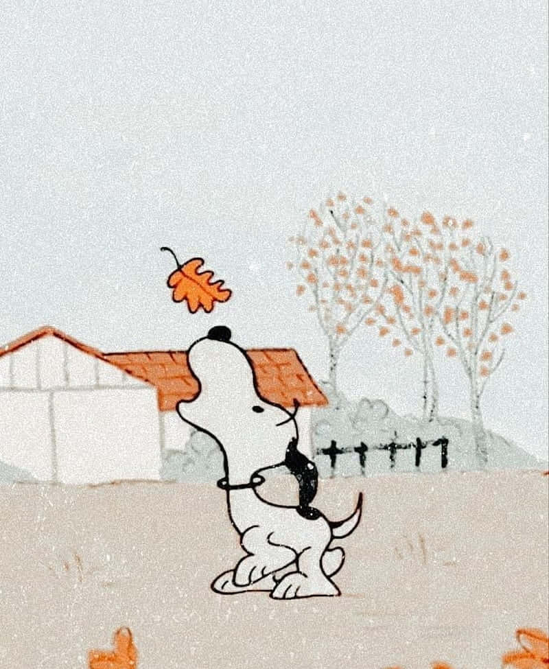 Snoopy, autumn trees, orange leaf, SD Phone Wallpaper