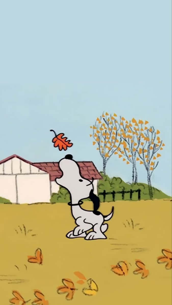 Snoopy, orange leaf, golden autumn field, SD Phone Wallpaper