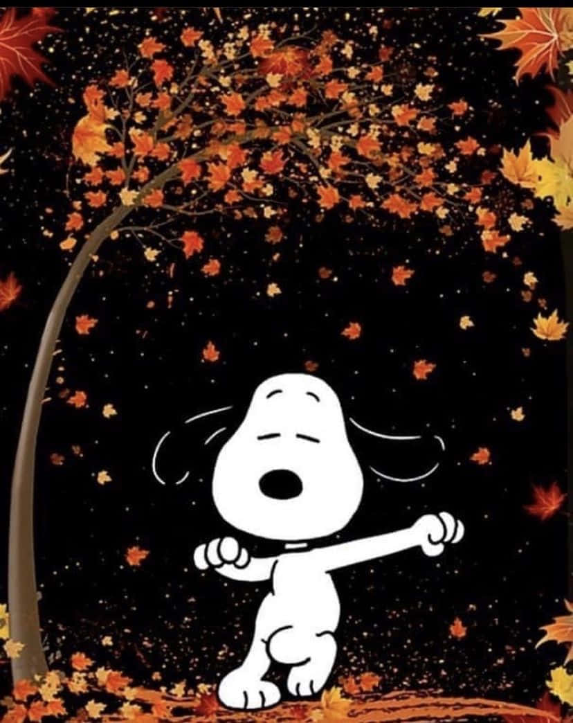 Snoopy, autumn, maple tree, SD Phone Wallpaper