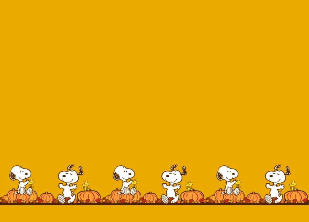 Snoopy, Thanksgiving, pumpkins, SD Desktop Wallpaper