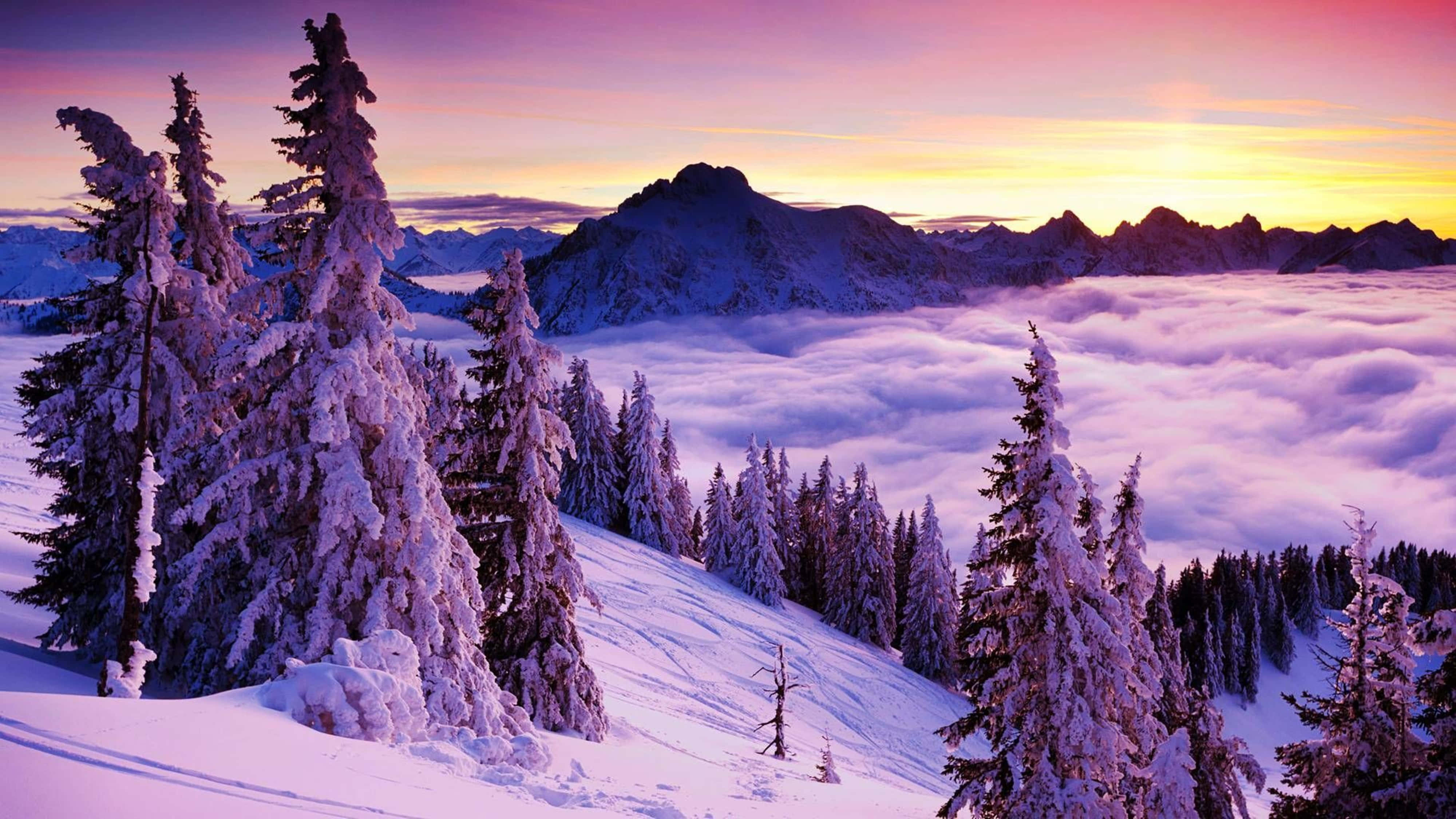 Snowy Mountain Top, mountain ridge, sea of clouds, 4K Desktop Wallpaper