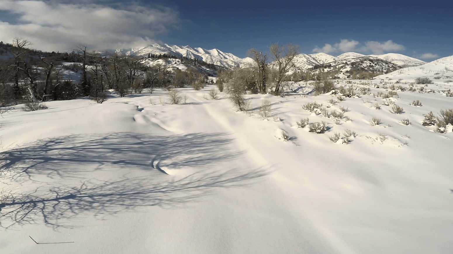 snow, winter valley, bare trees, HD Desktop Wallpaper
