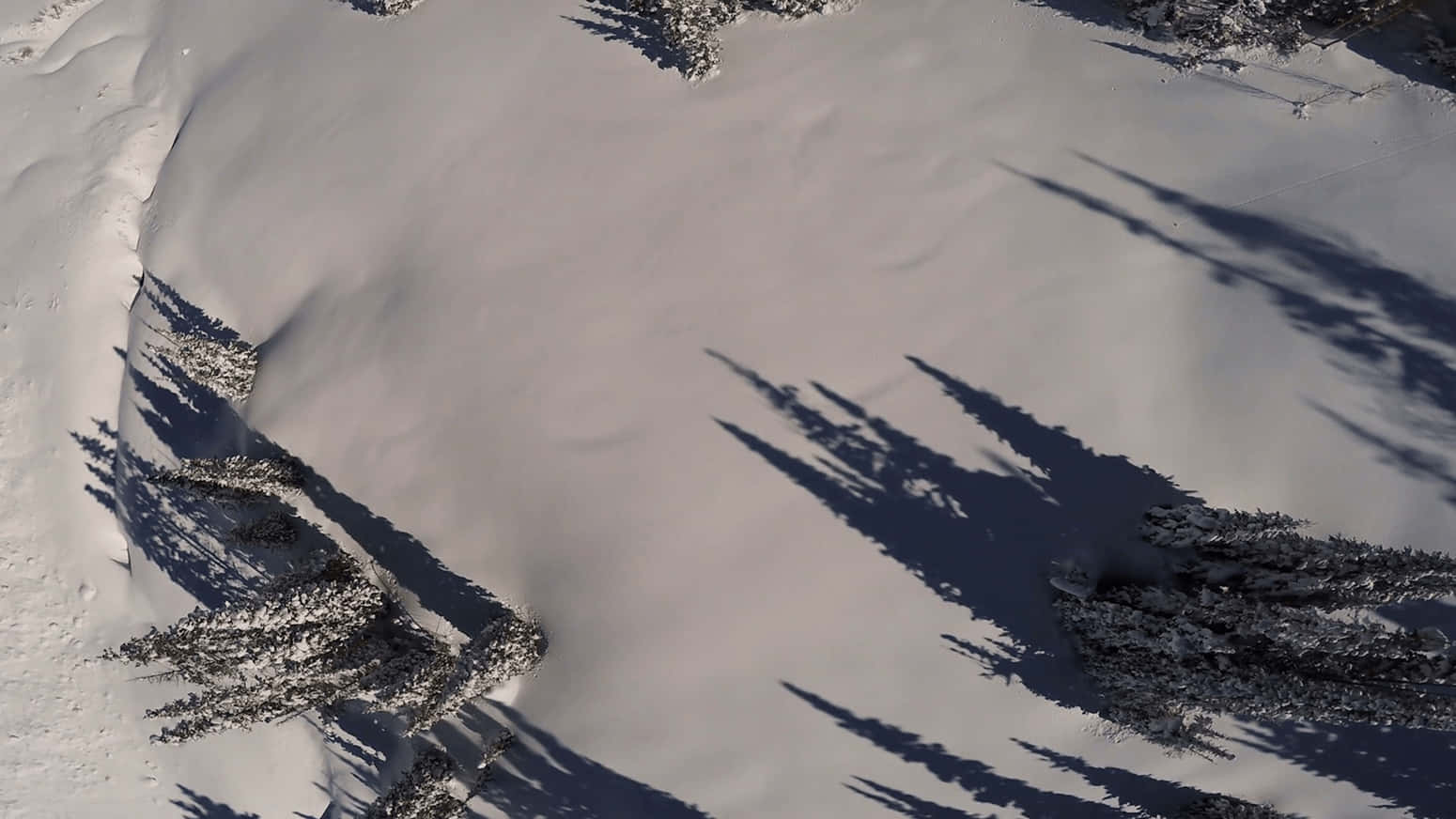 snow 4k, vast snowy forests, aerial view, HD Desktop Wallpaper