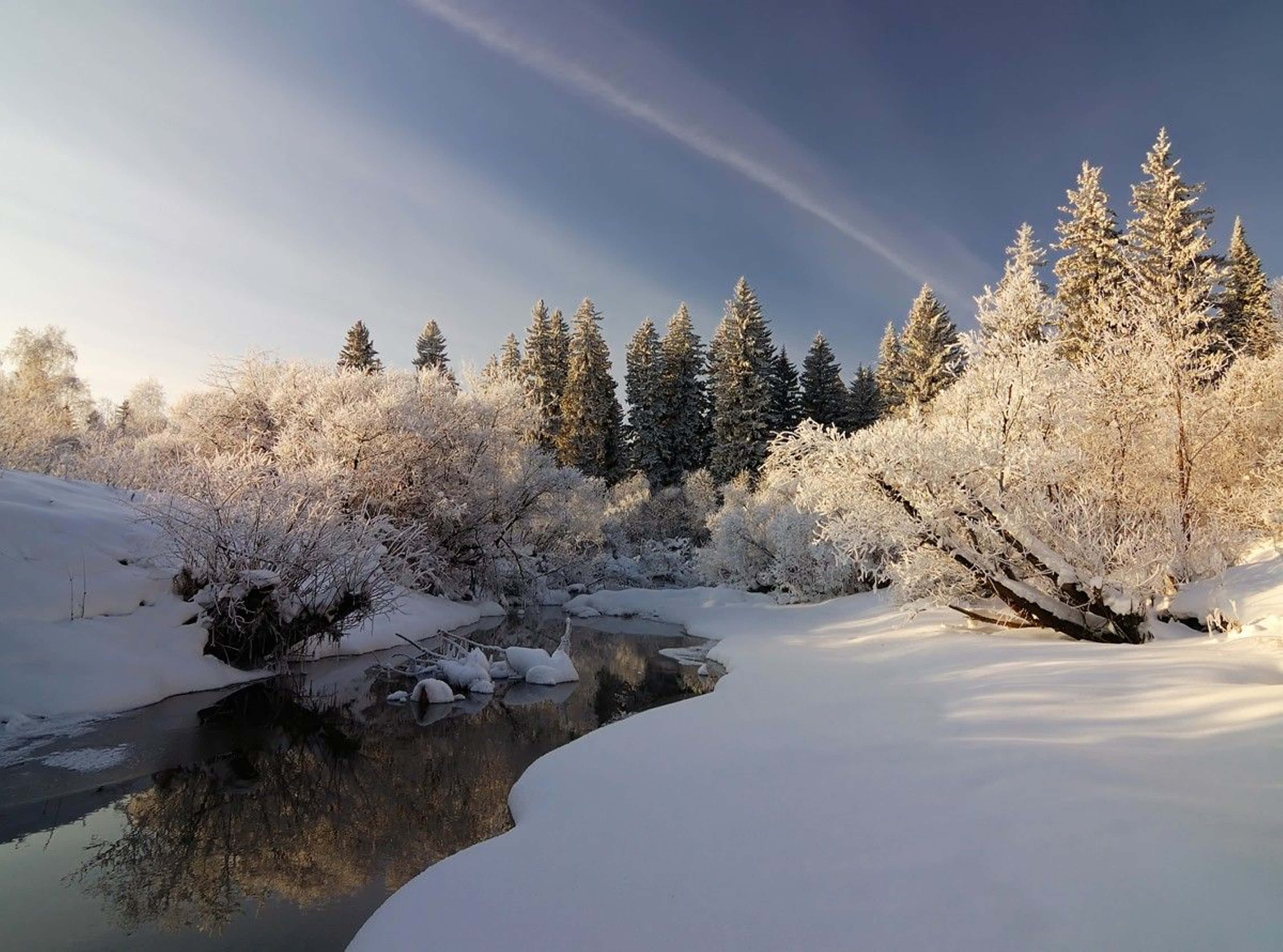 Pine Forest, Snow, Frozen River, 4K Desktop Wallpaper
