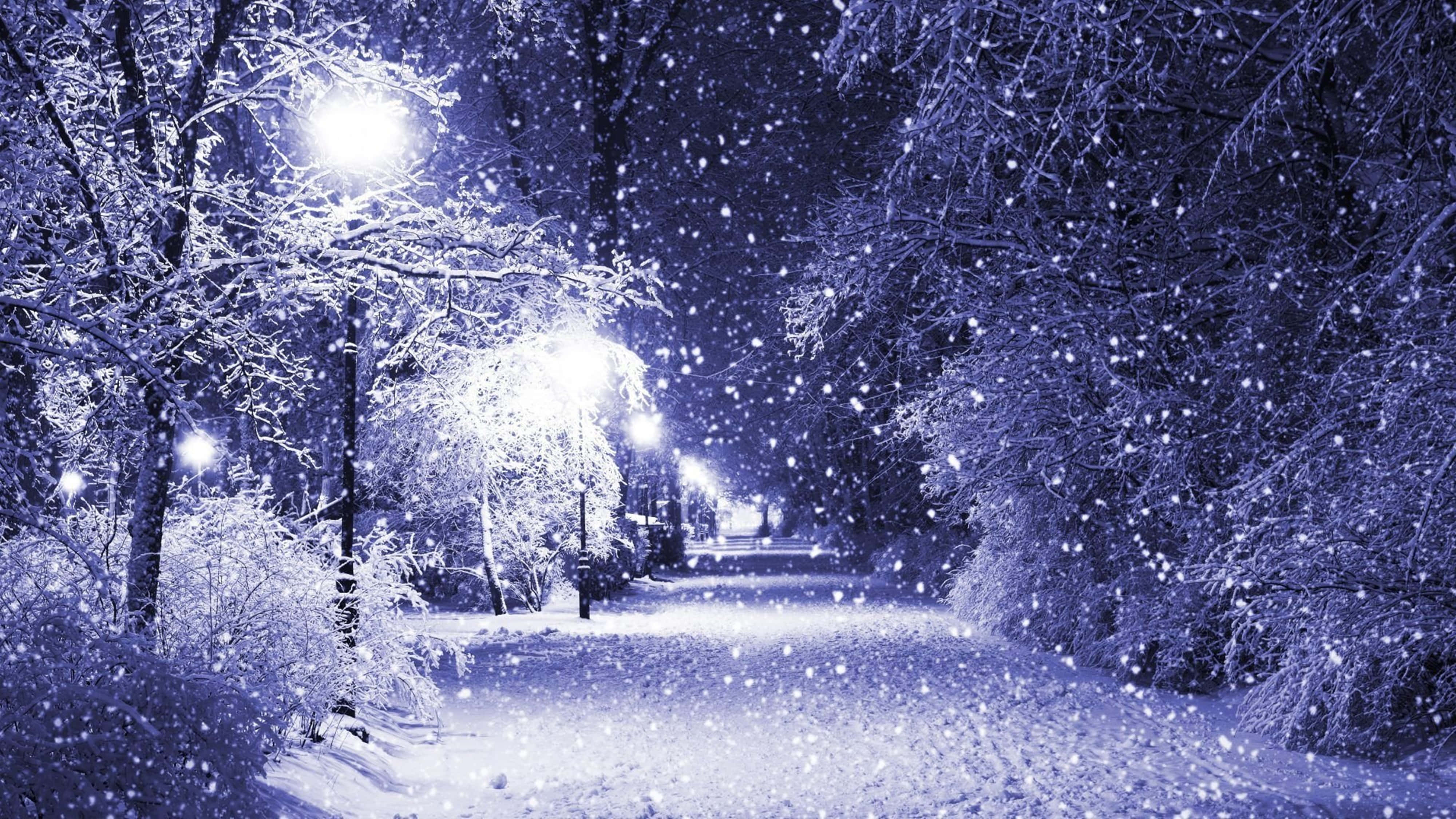 snow, moonlit winter park, streetlights, 4K Desktop Wallpaper