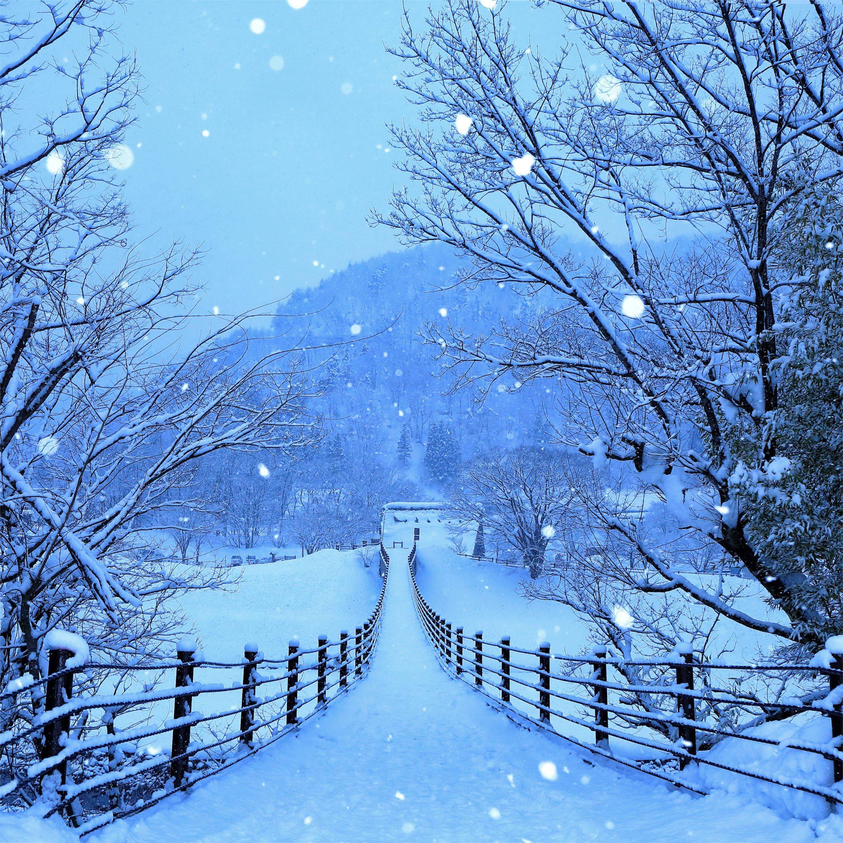 4K iPad, snow-covered wooden bridge, winter forest, 2K Desktop Wallpaper