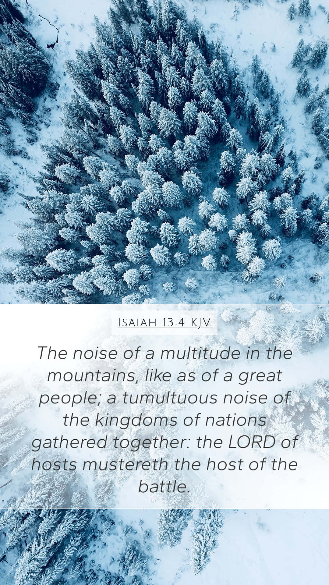 Tumultuous Bible Verse, snow-covered pine trees, winter forest, Full HD Phone Wallpaper
