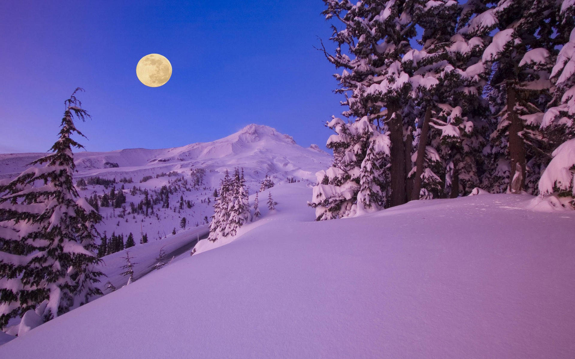 full moon, snow-covered mountain range, pine trees, Full HD Desktop Wallpaper