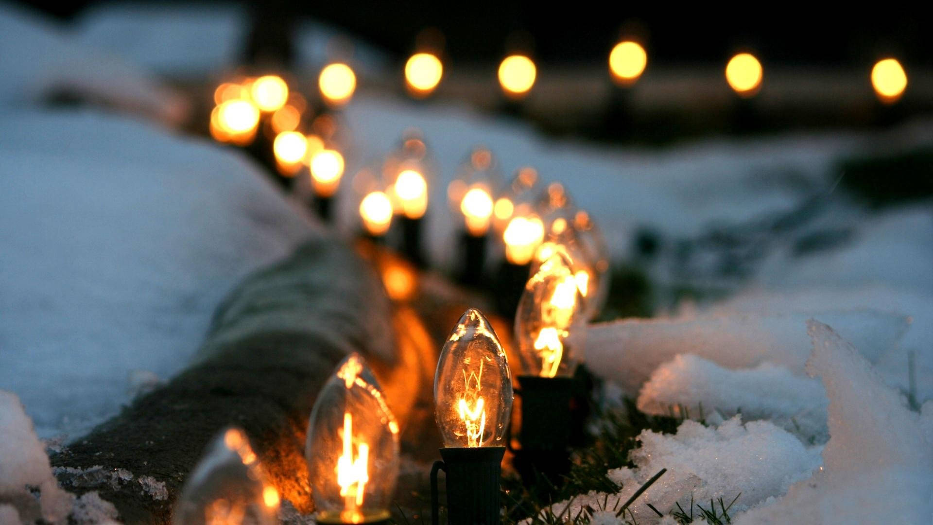aesthetic snow light bulbs, warm glowing string lights, snow, Full HD Desktop Wallpaper
