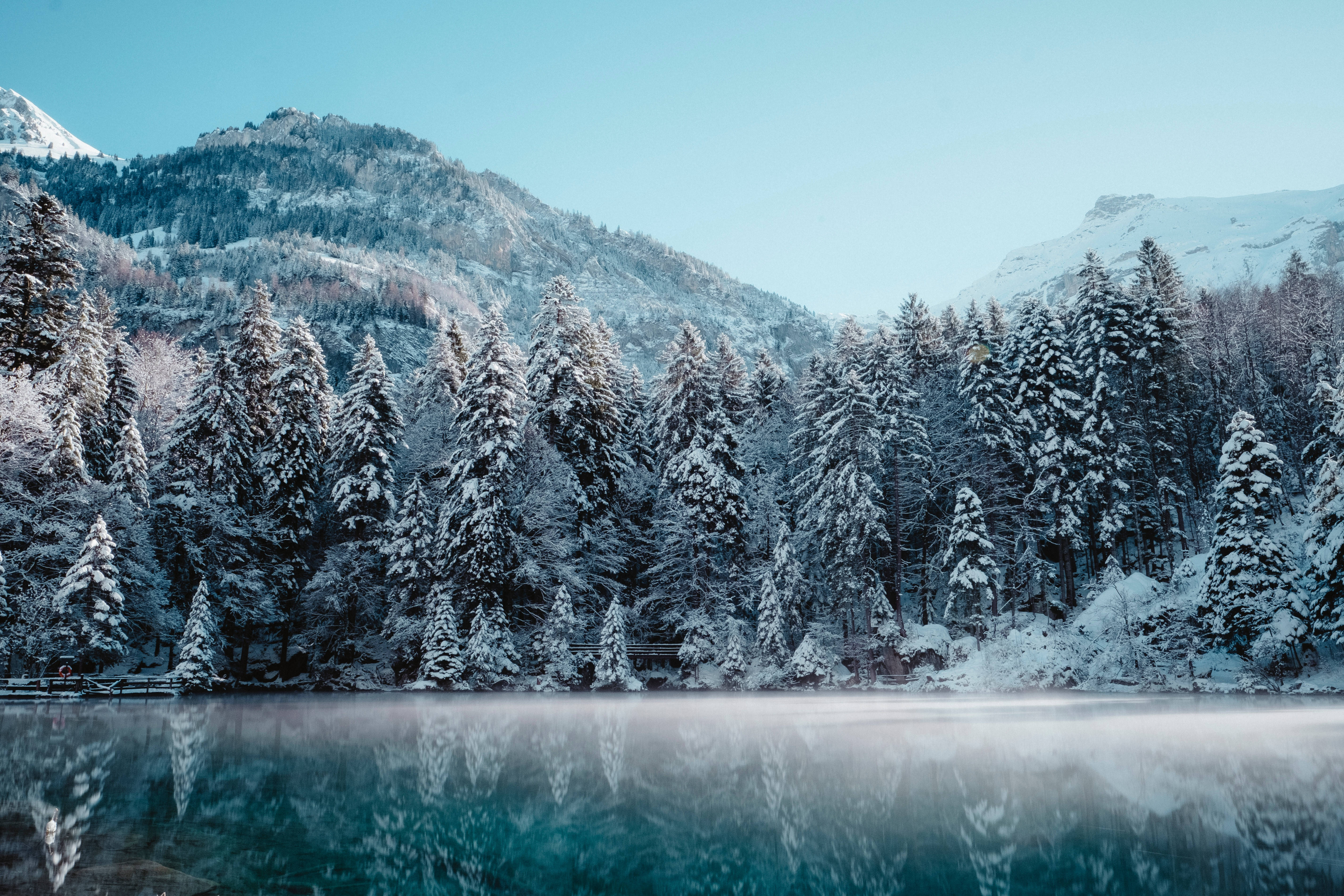 Snow Aesthetic, pine trees, misty lake, 5K Desktop Wallpaper