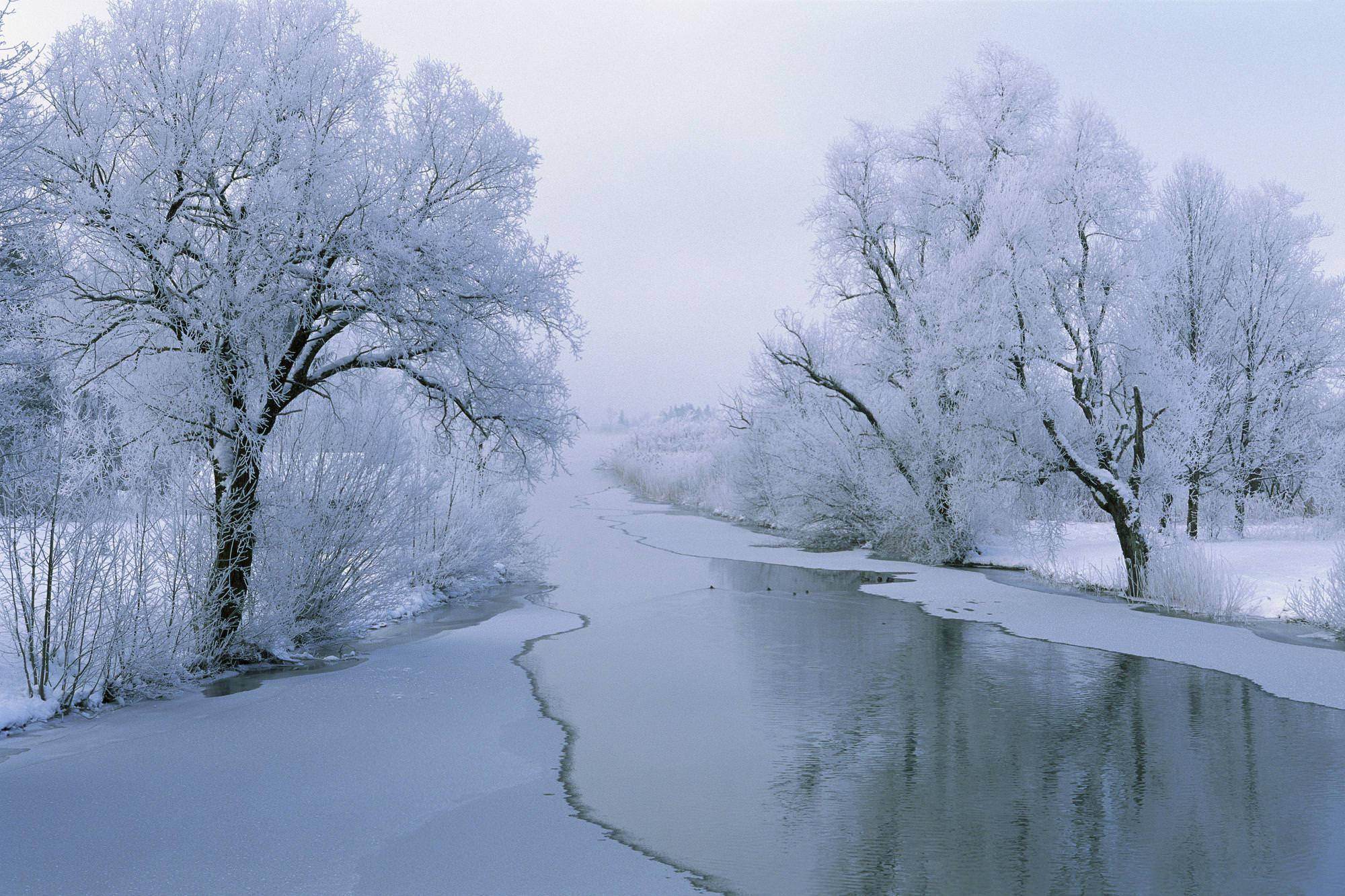 Snow Aesthetic, snow-covered trees, partially frozen river, Full HD Desktop Wallpaper