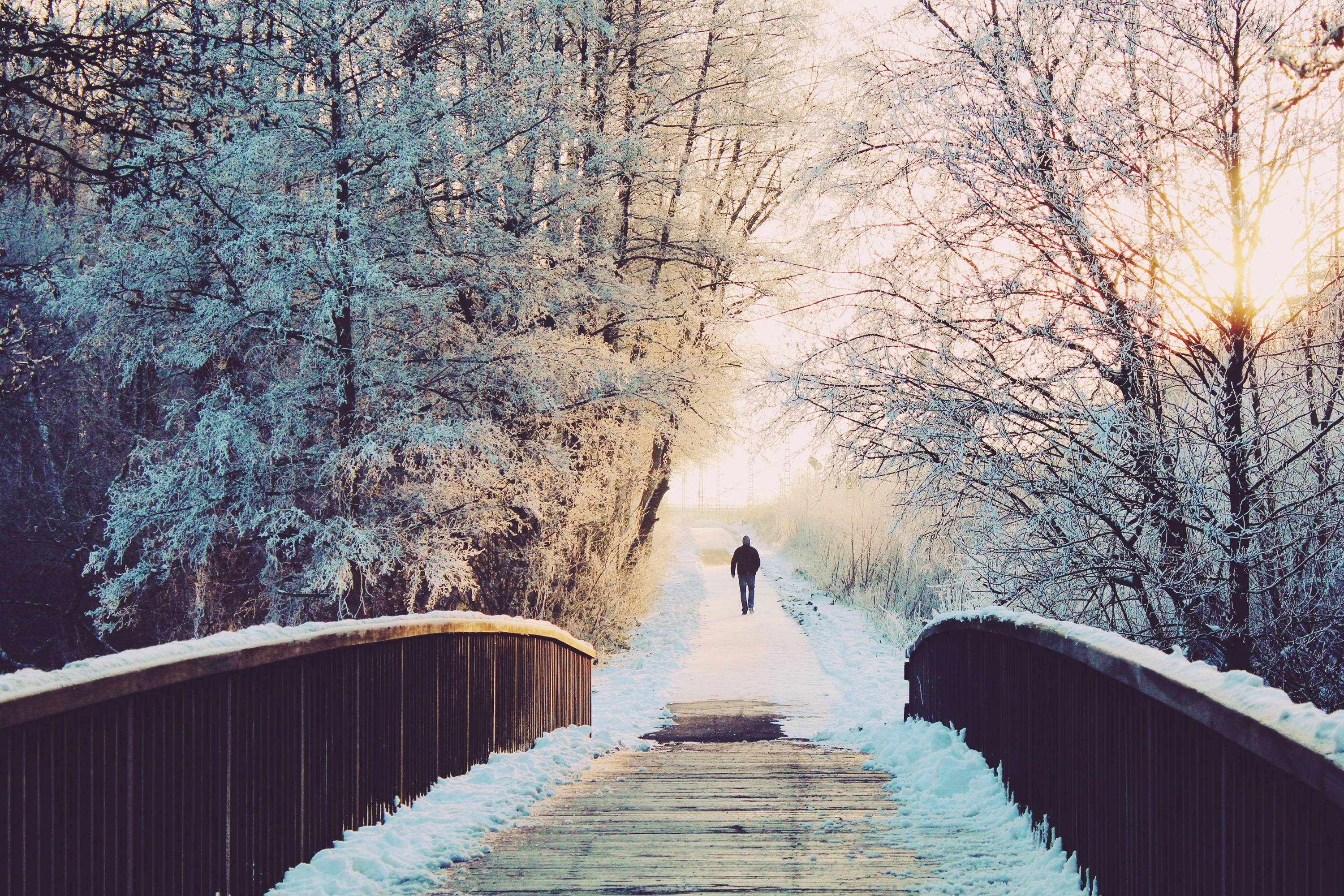 Snow Aesthetic Pathway, wooden bridge, frosty winter forest, 2K Desktop Wallpaper