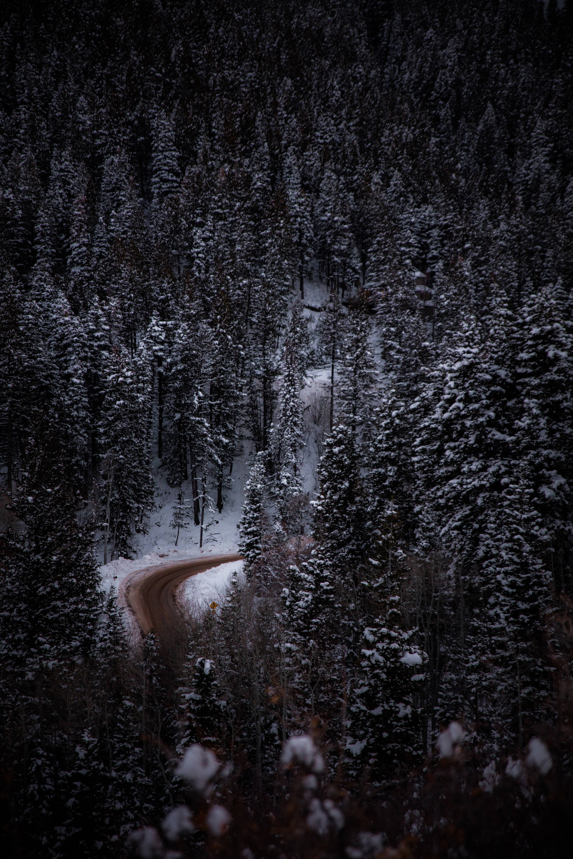 snow-covered wilds, aerial view, dirt road, 2K Phone Wallpaper