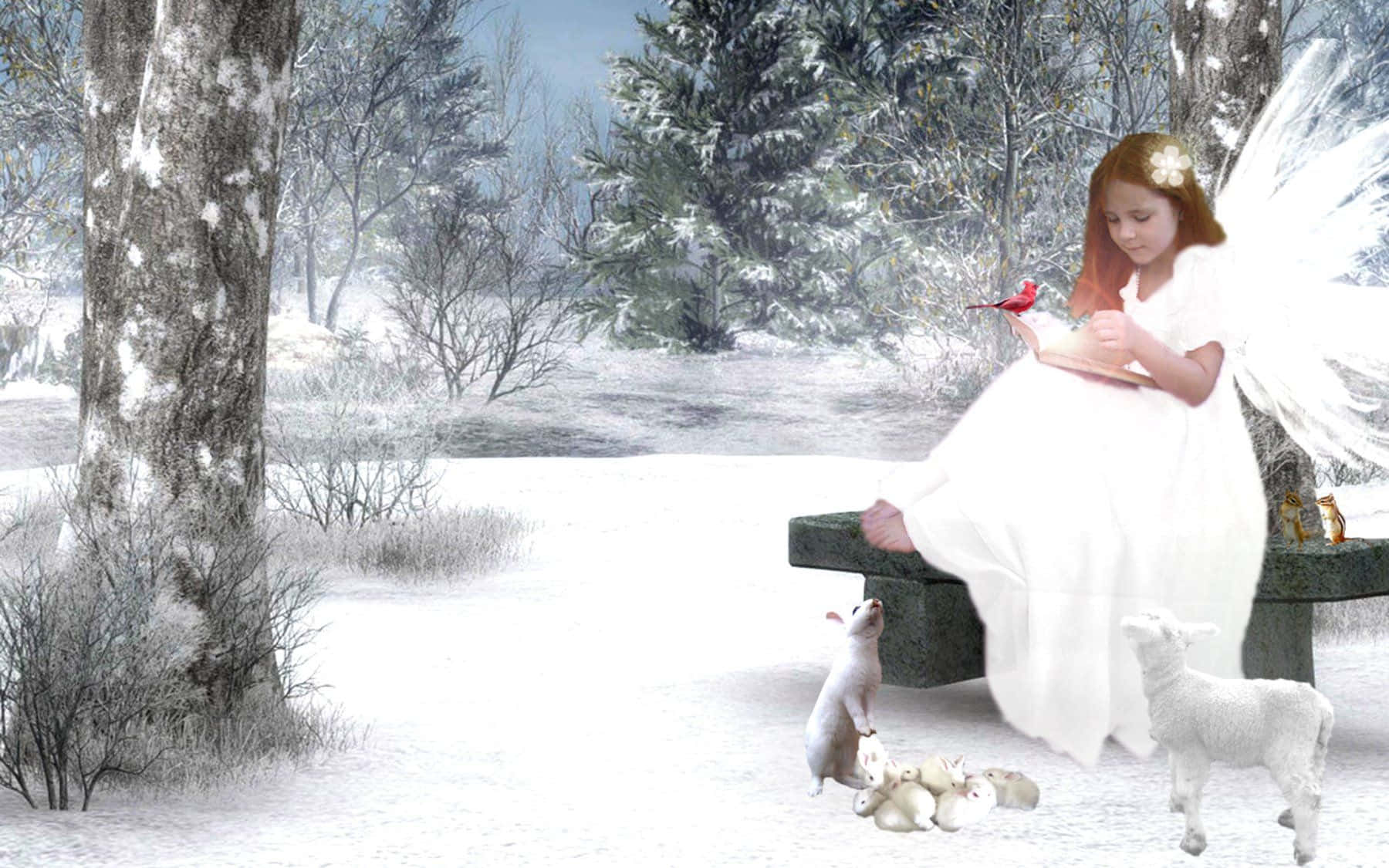 Snow Angel, fairy girl, white dress, HD Desktop Wallpaper