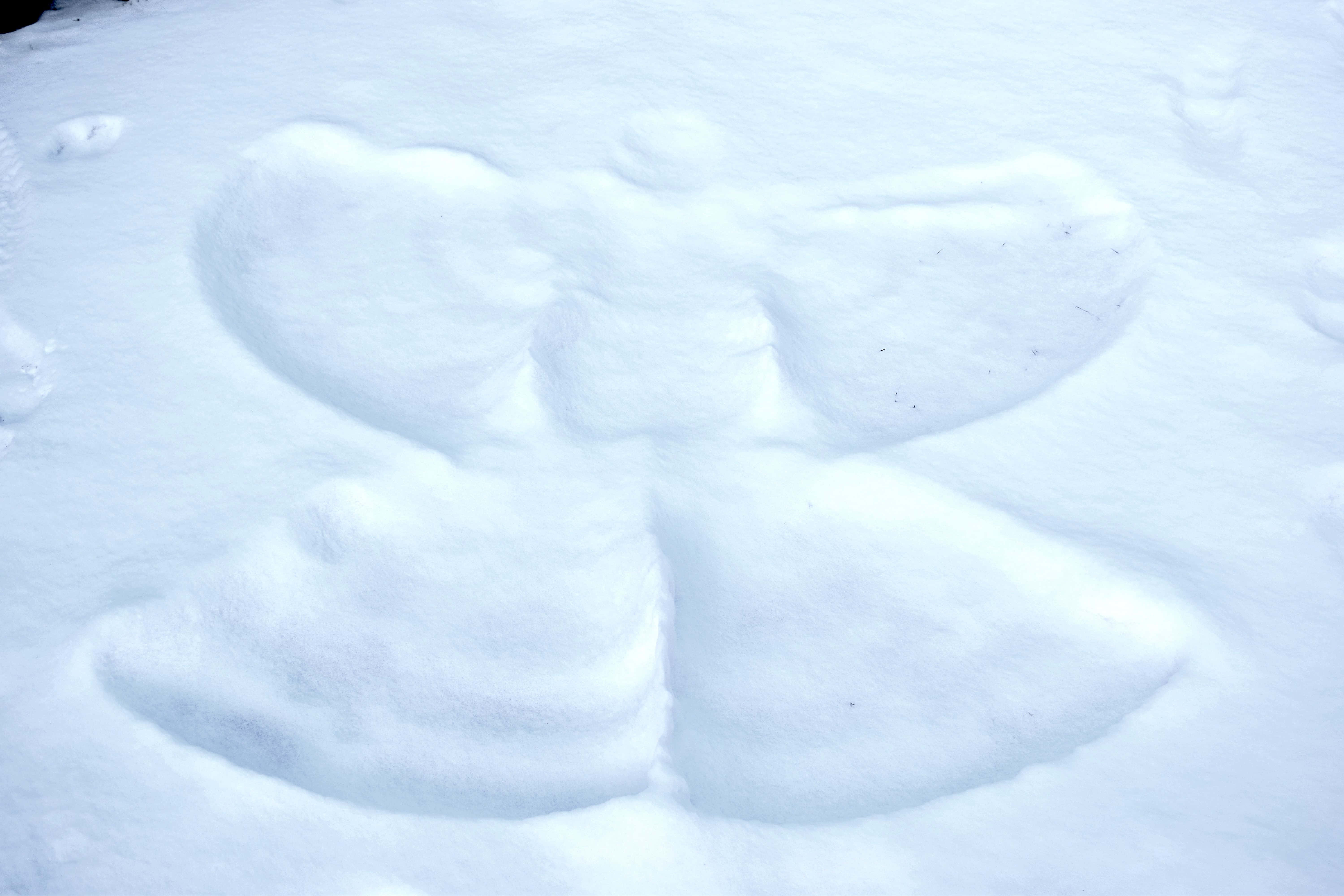 Snow Angel, 6000 x 4000, winter day, 5K Desktop Wallpaper