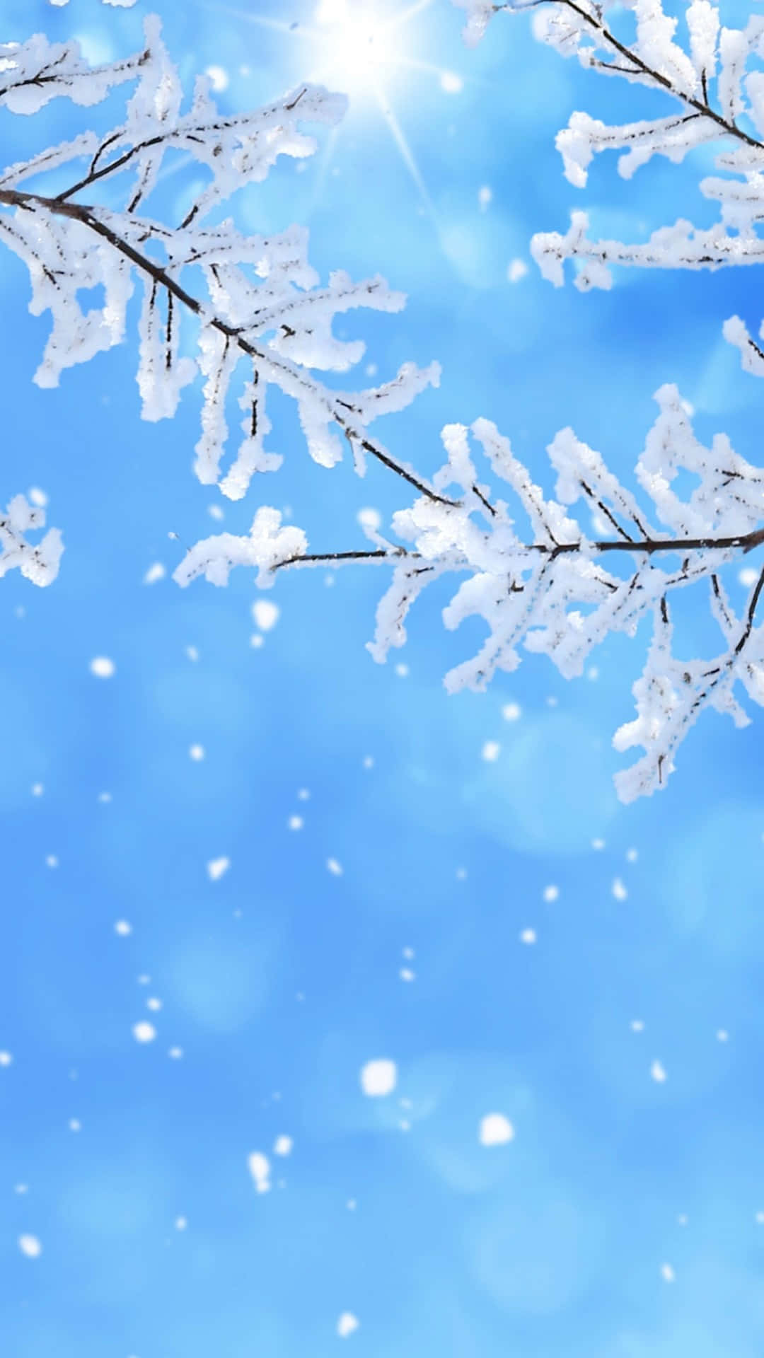 Snow Falling, Winter wonderland, snow-laden branches, Full HD Phone Wallpaper