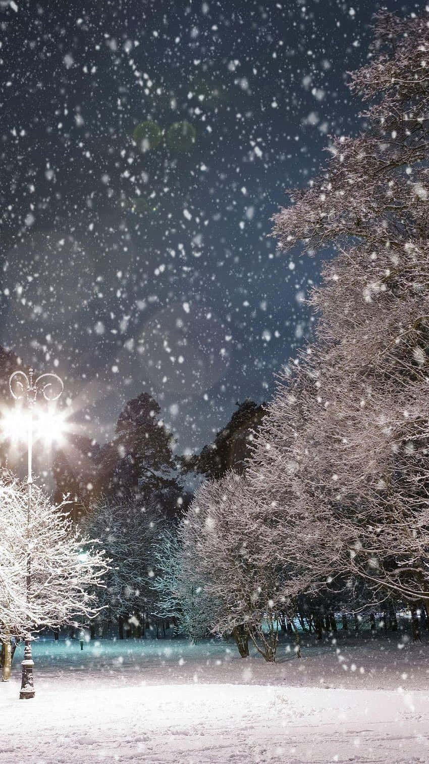 Snow Falling, starry night sky, snow-covered trees, HD Phone Wallpaper