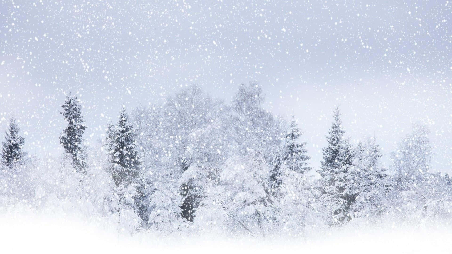 snow falling, winter wonderland, snowflakes, Full HD Desktop Wallpaper