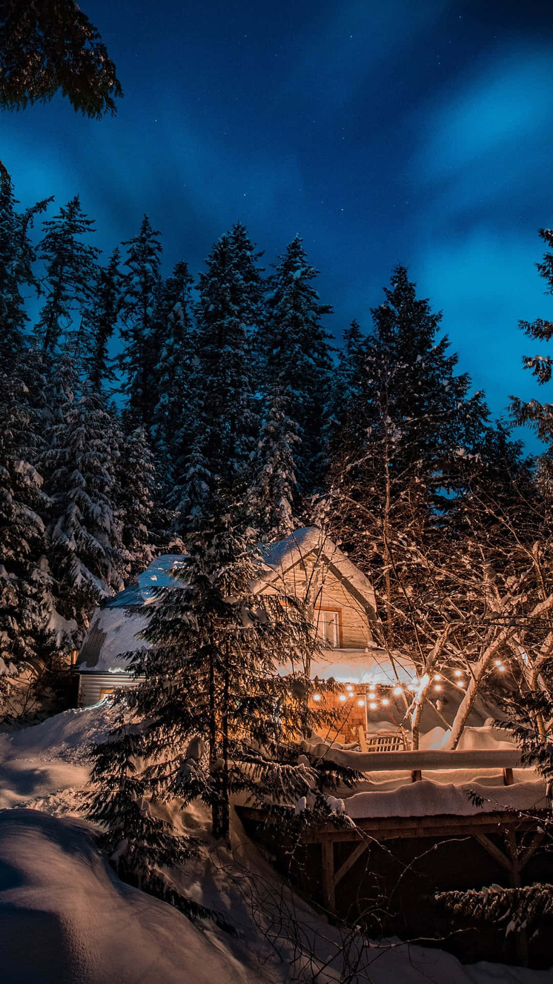 Cabin, Pine forest, Starry night sky, Full HD Phone Wallpaper