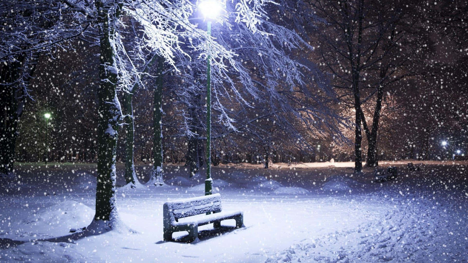 Snow Falling, park bench, streetlamp, Full HD Desktop Wallpaper