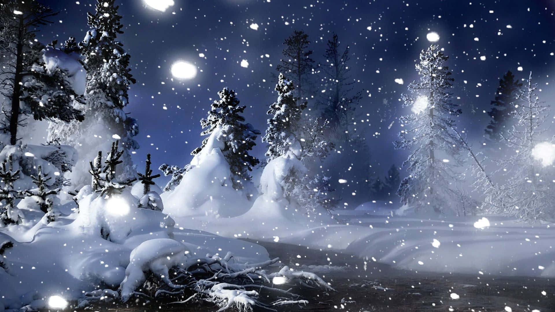 snow falling, pine trees, starry night sky, Full HD Desktop Wallpaper