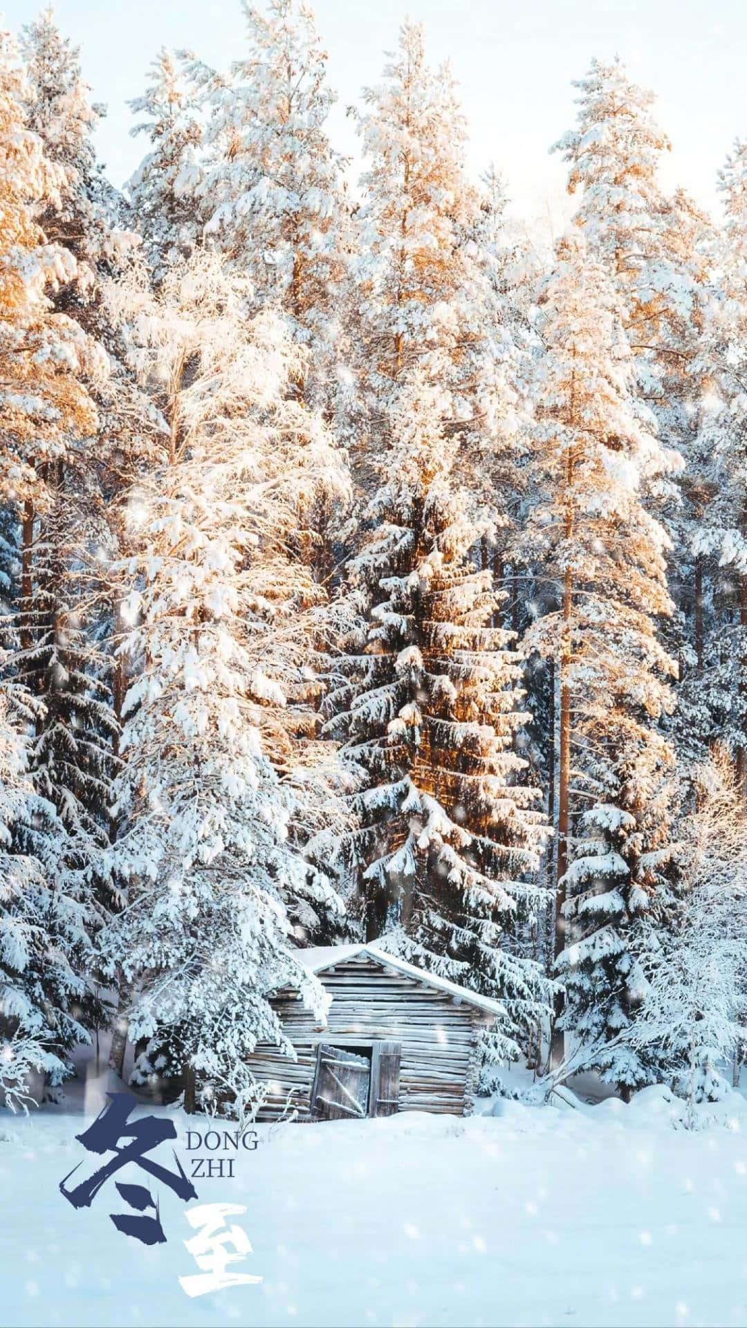 Pine Trees, Snow Falling, rustic wooden cabin, Full HD Phone Wallpaper