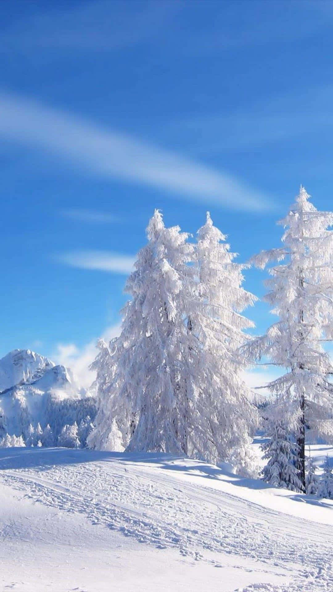 Snow Falling, 1080 x 1920, blue sky, Full HD Phone Wallpaper