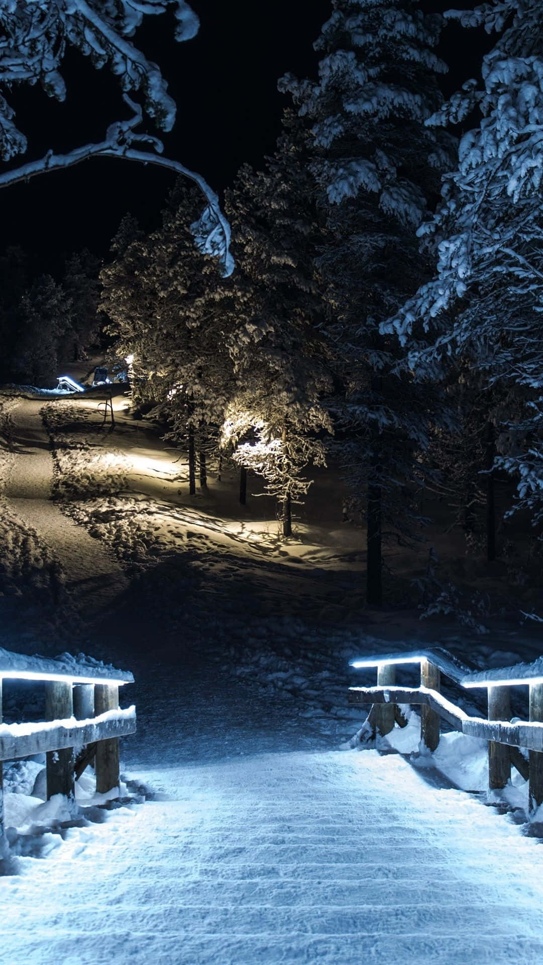 Snow Falling, 1080 x 1920, dark forest, Full HD Phone Wallpaper
