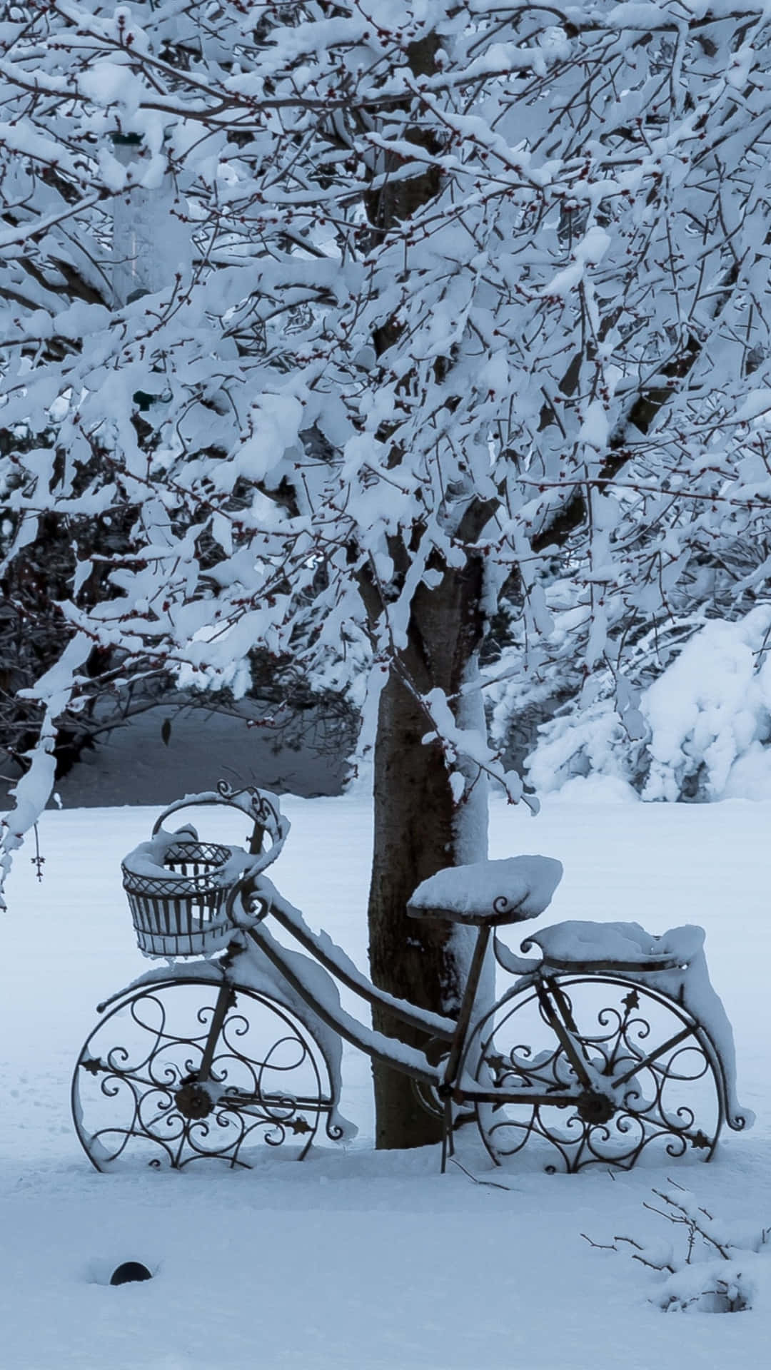 snow-covered, ornate metal bicycle, winter garden, Full HD Phone Wallpaper
