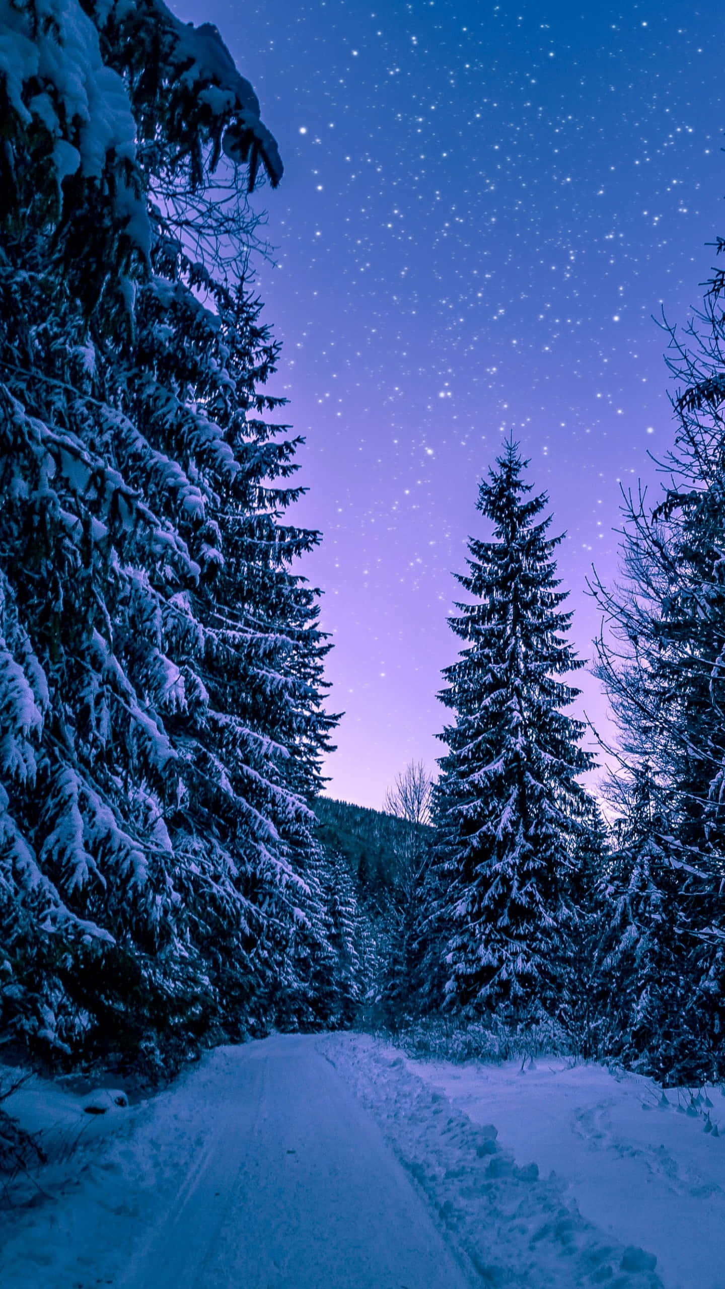 snow-covered forest path, starry twilight sky, purple and blue hues, 2K Phone Wallpaper