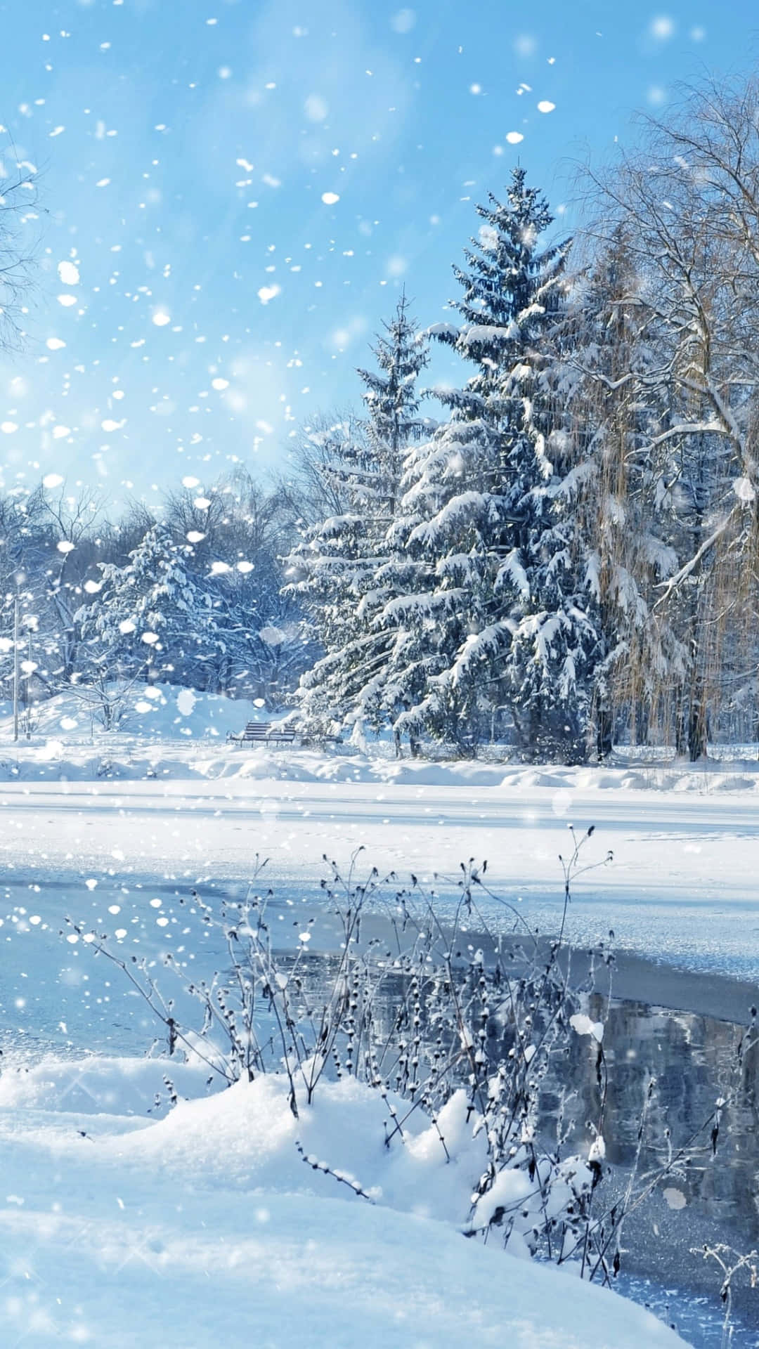 snow falling, bright blue sky, snow-covered evergreen trees, Full HD Phone Wallpaper