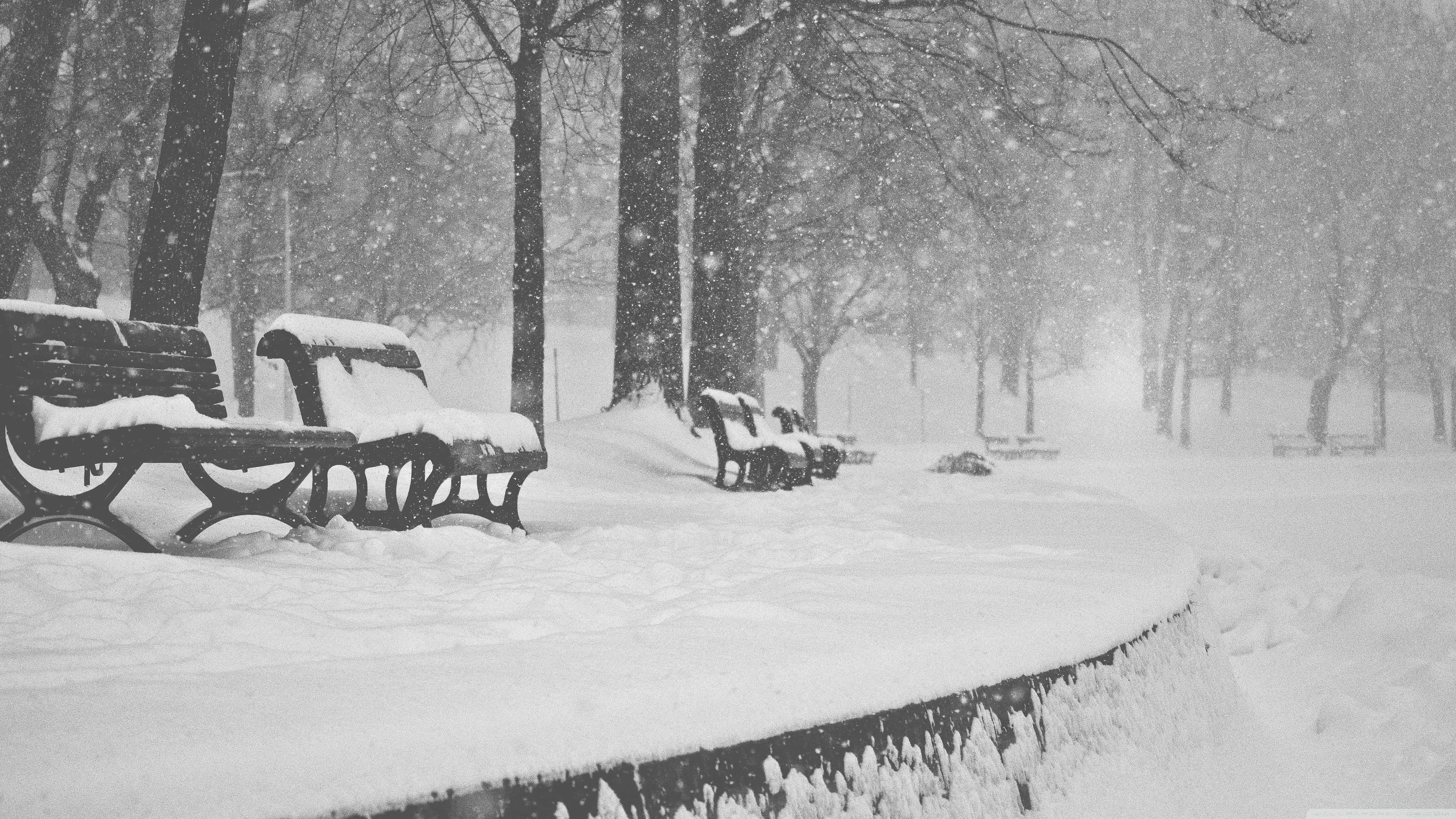 Snow Falling, Snow Covered Trees, park benches, 4K Desktop Wallpaper