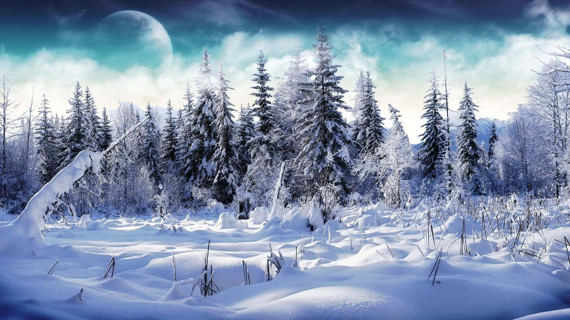 snow falling, 1920 x 1080, glowing moon, Full HD Desktop Wallpaper
