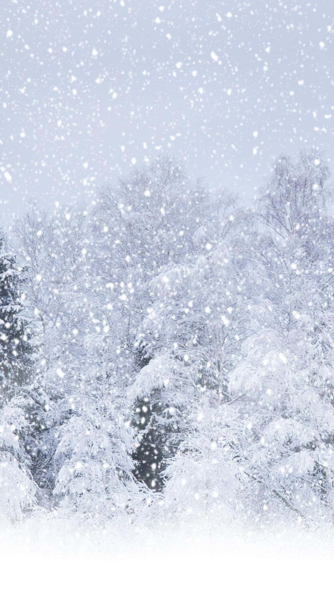 snow falling, peaceful winter night, pale sky, Full HD Phone Wallpaper