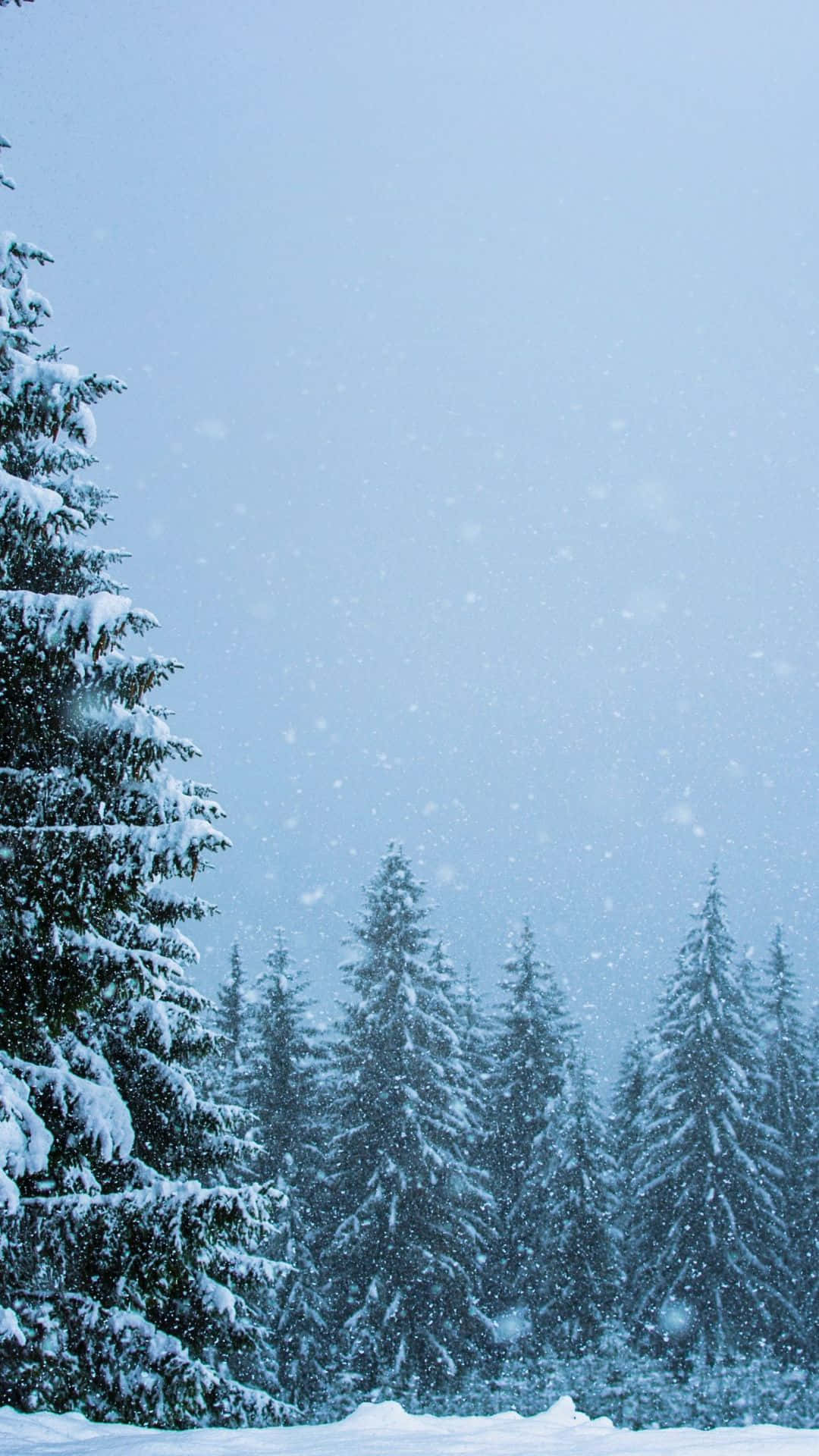 snow falling, pale blue sky, dense forest, Full HD Phone Wallpaper