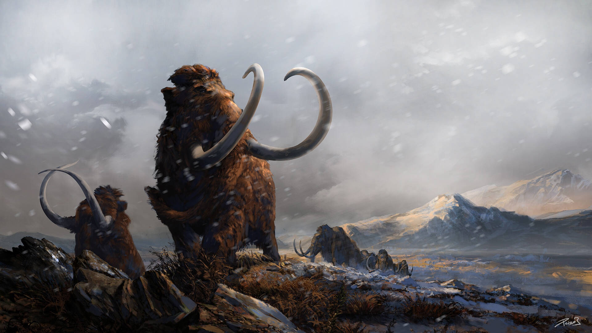 woolly mammoth, snowy cliff, frozen tundra, Full HD Desktop Wallpaper