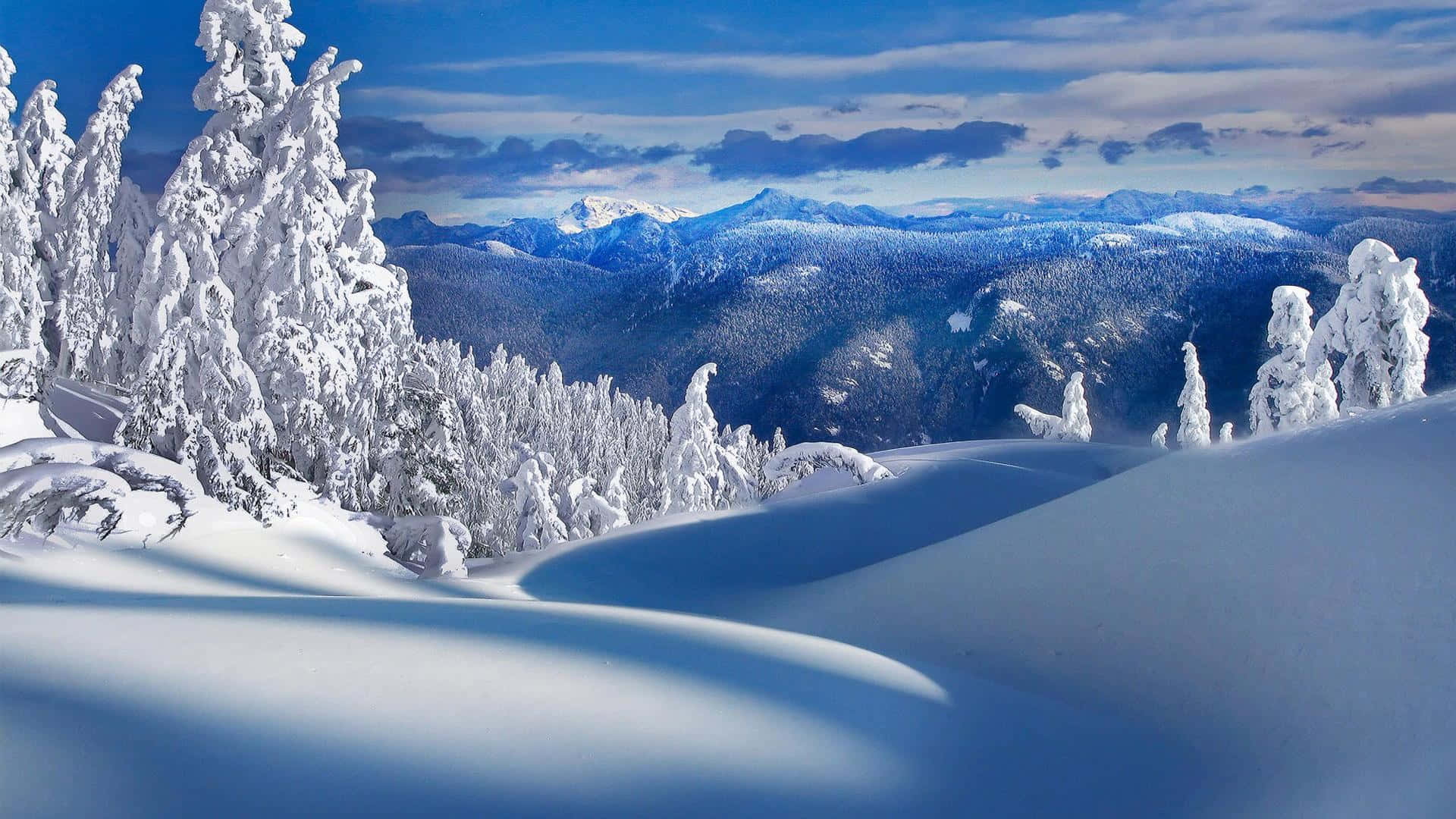 snow falling, mountains, snow blankets, Full HD Desktop Wallpaper